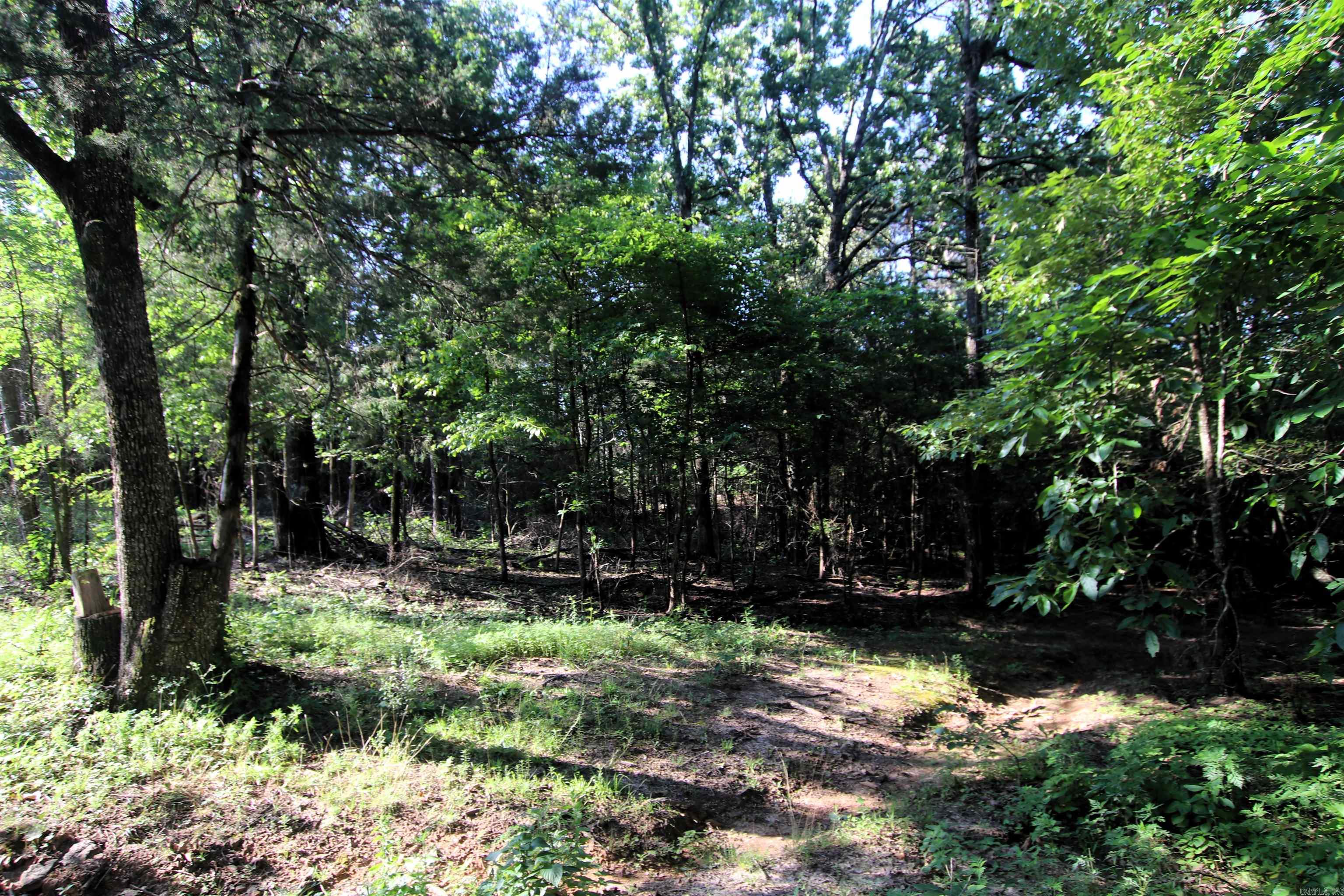 35 Cedar Creek Road Property Photo 35