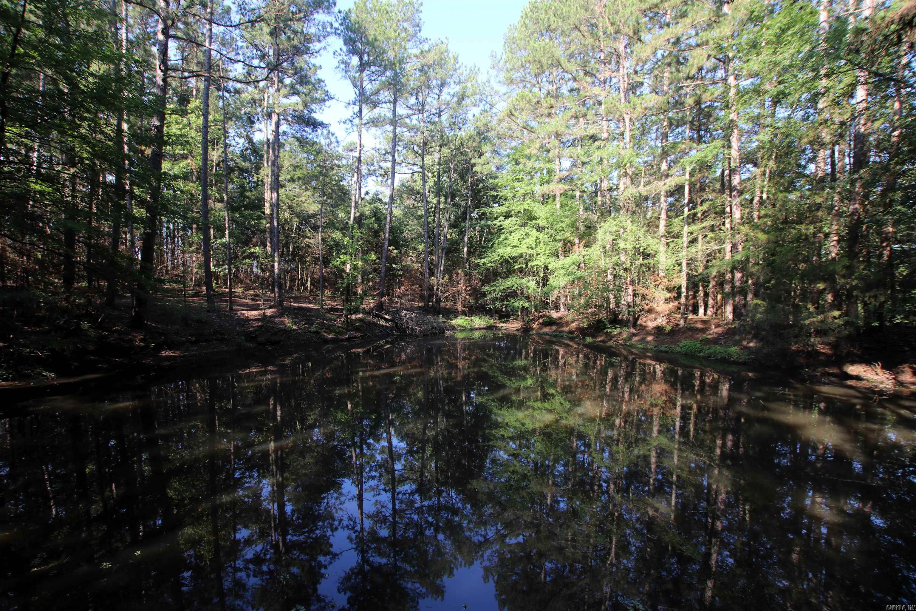 35 Cedar Creek Road Property Photo 36