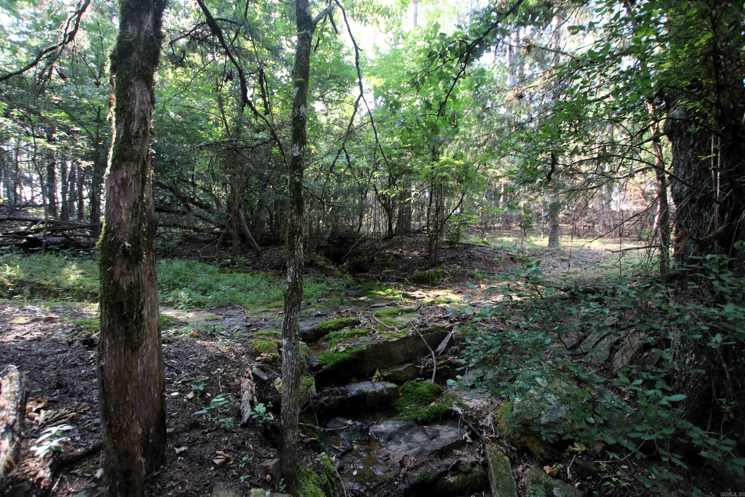 35 Cedar Creek Road Property Photo 38