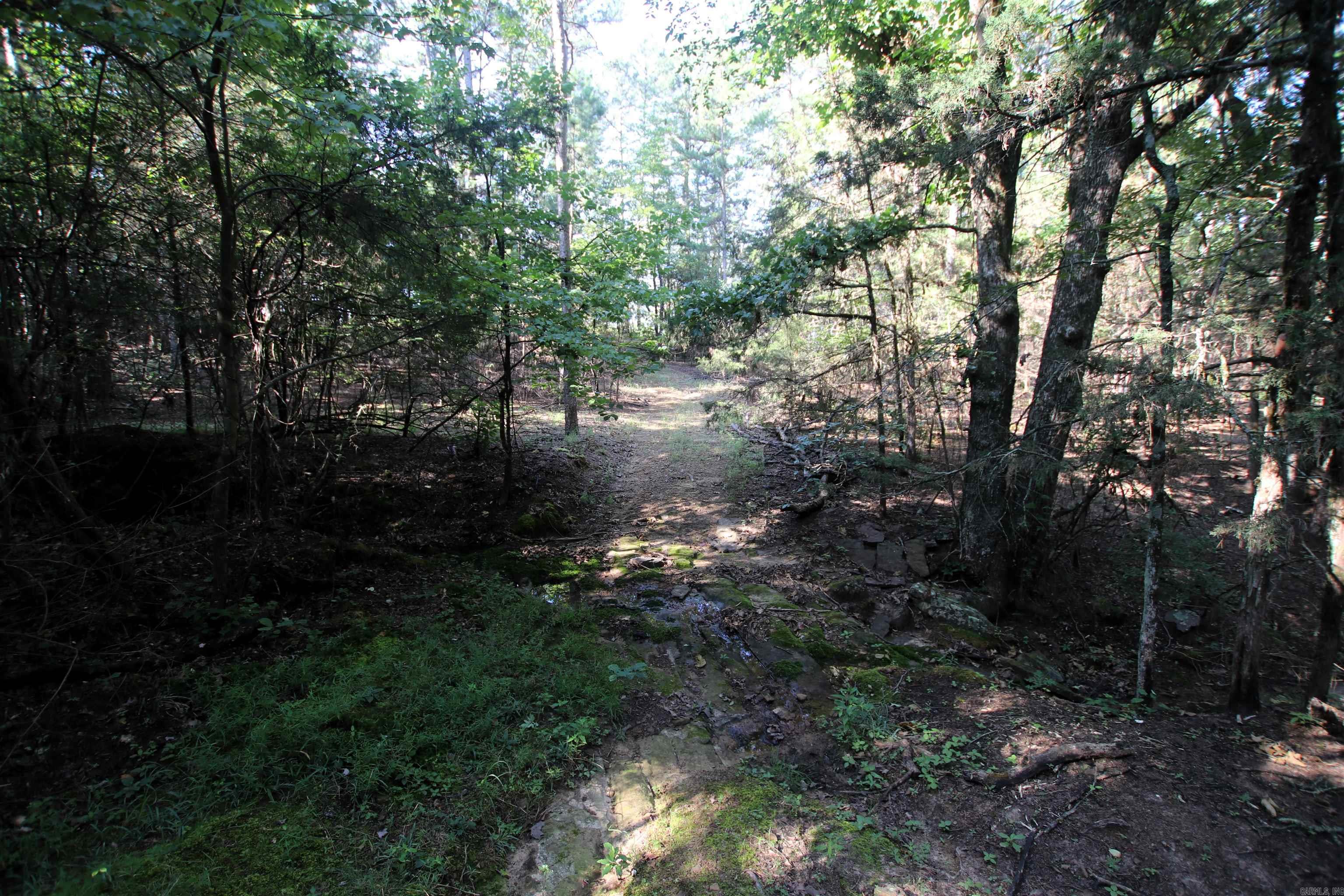 35 Cedar Creek Road Property Photo 39