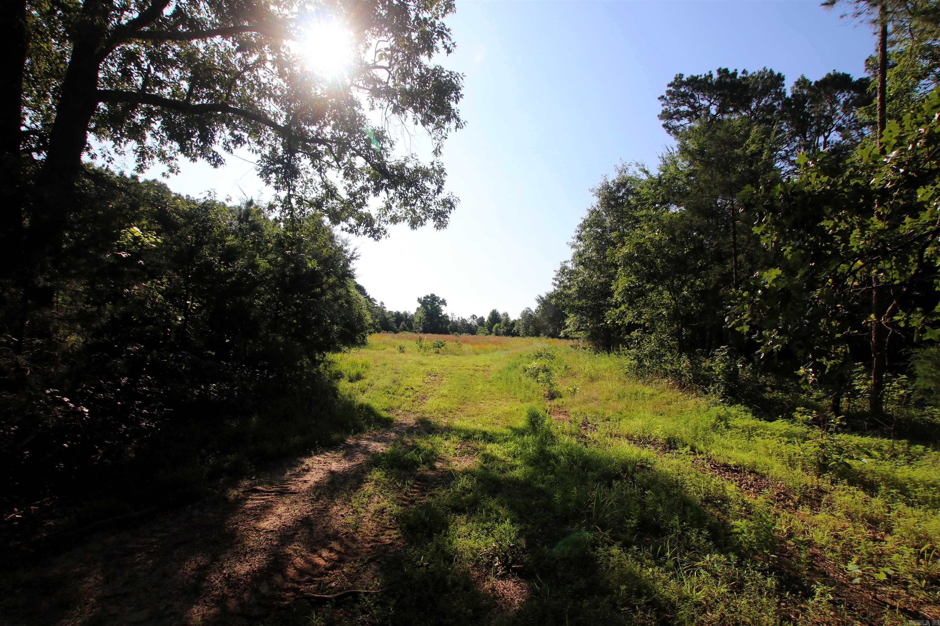 35 Cedar Creek Road Property Photo 40