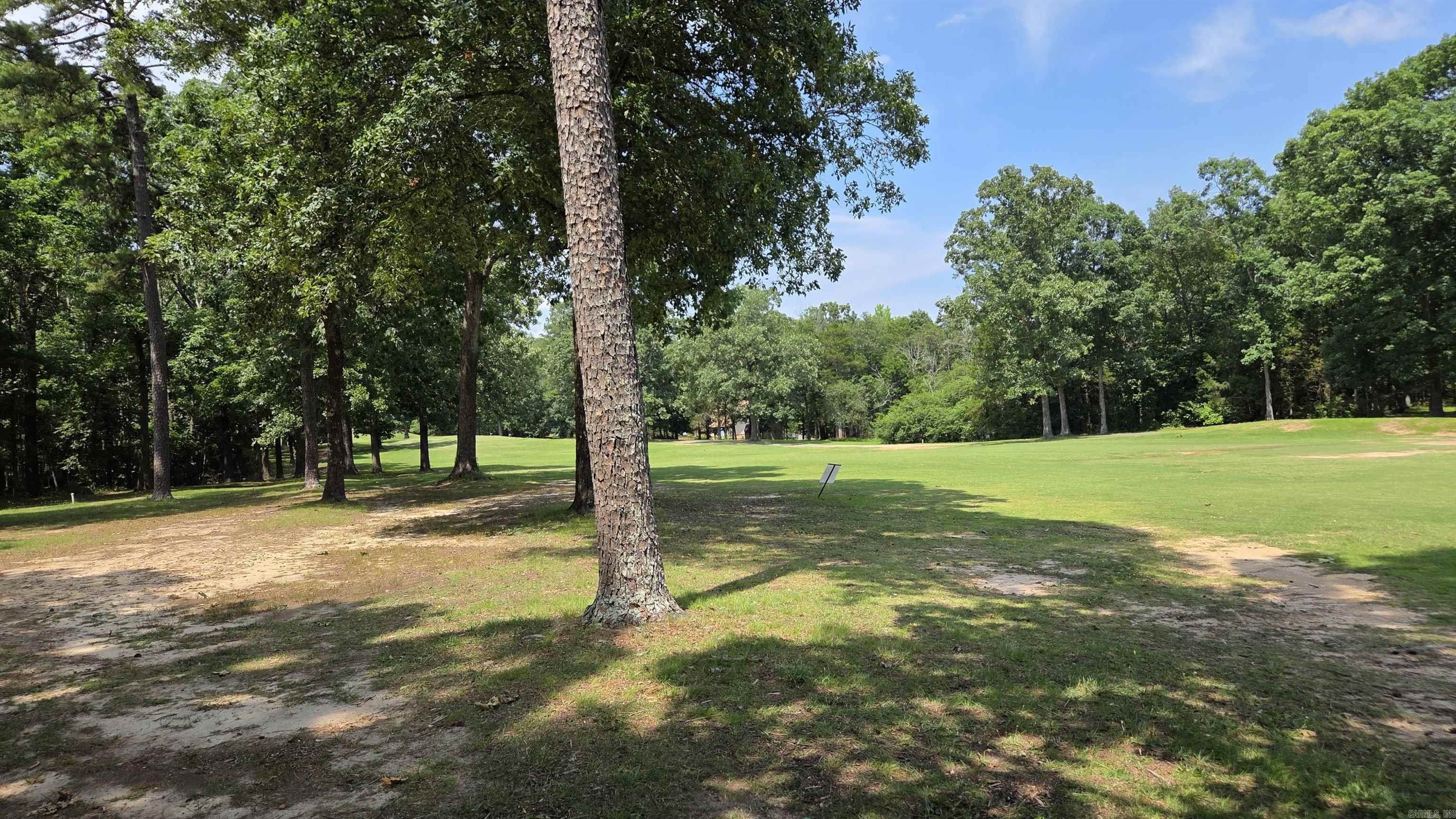 317 Castle Ridge Property Photo 29