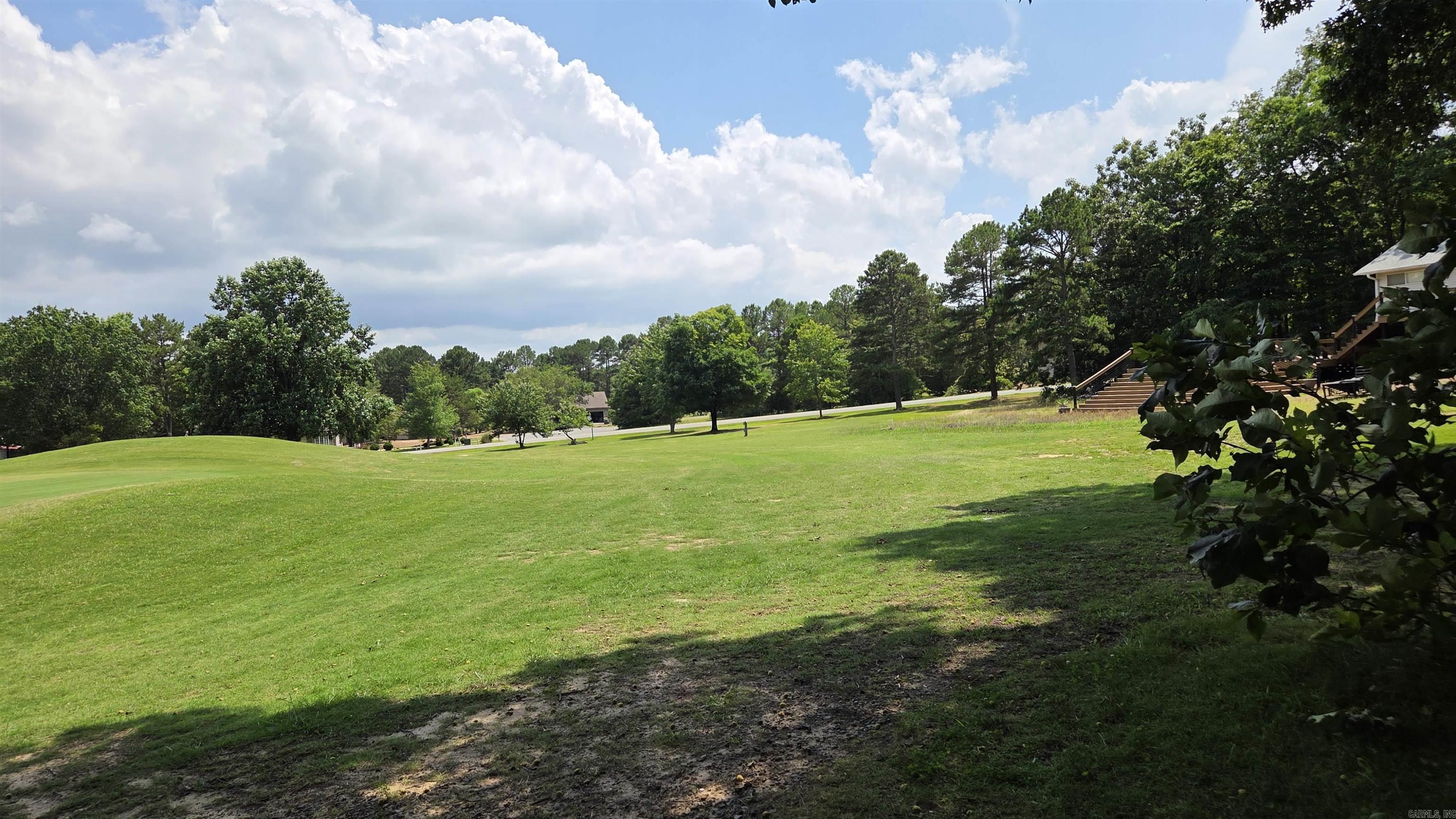 317 Castle Ridge Property Photo 30