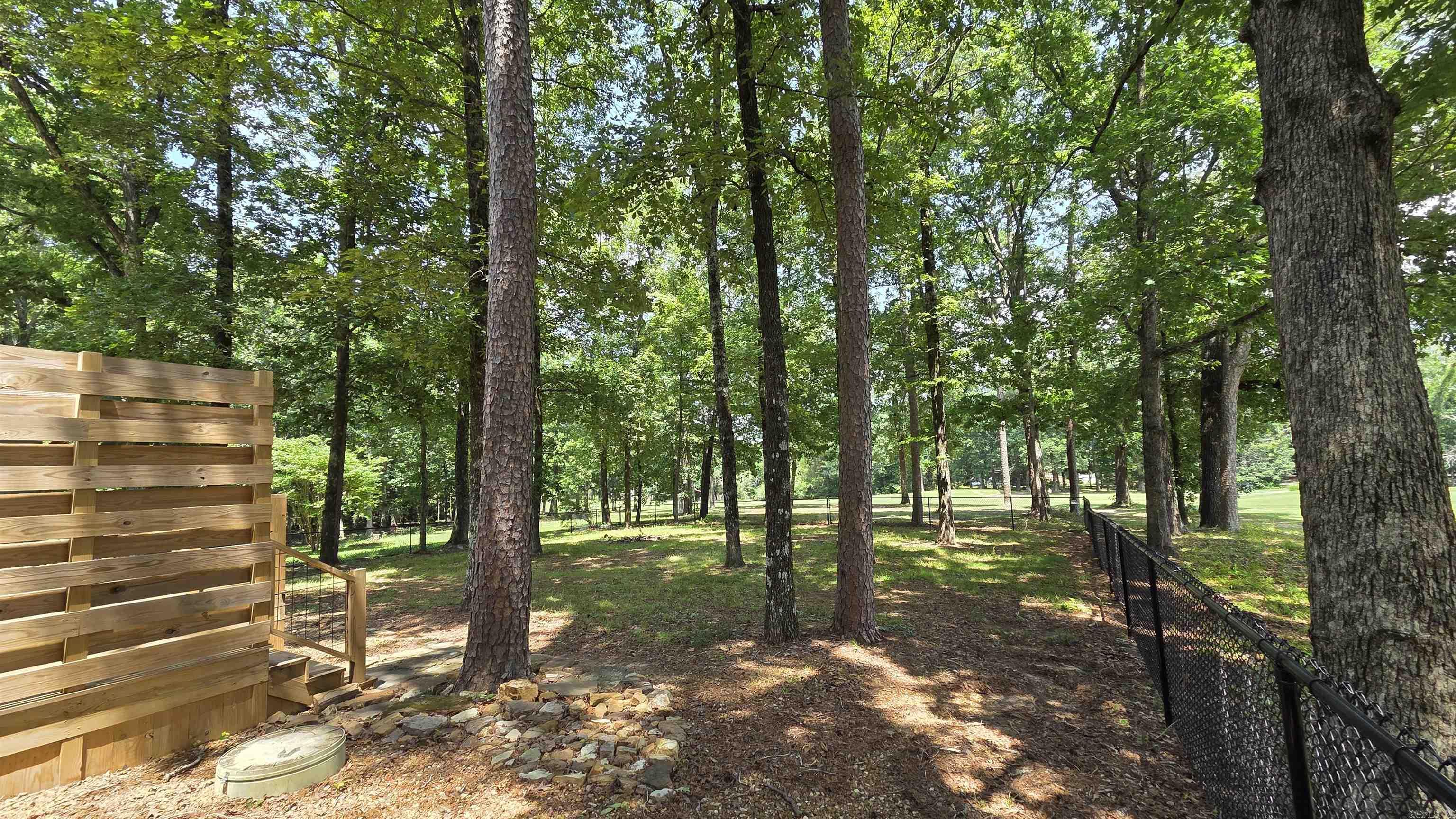 317 Castle Ridge Property Photo 41