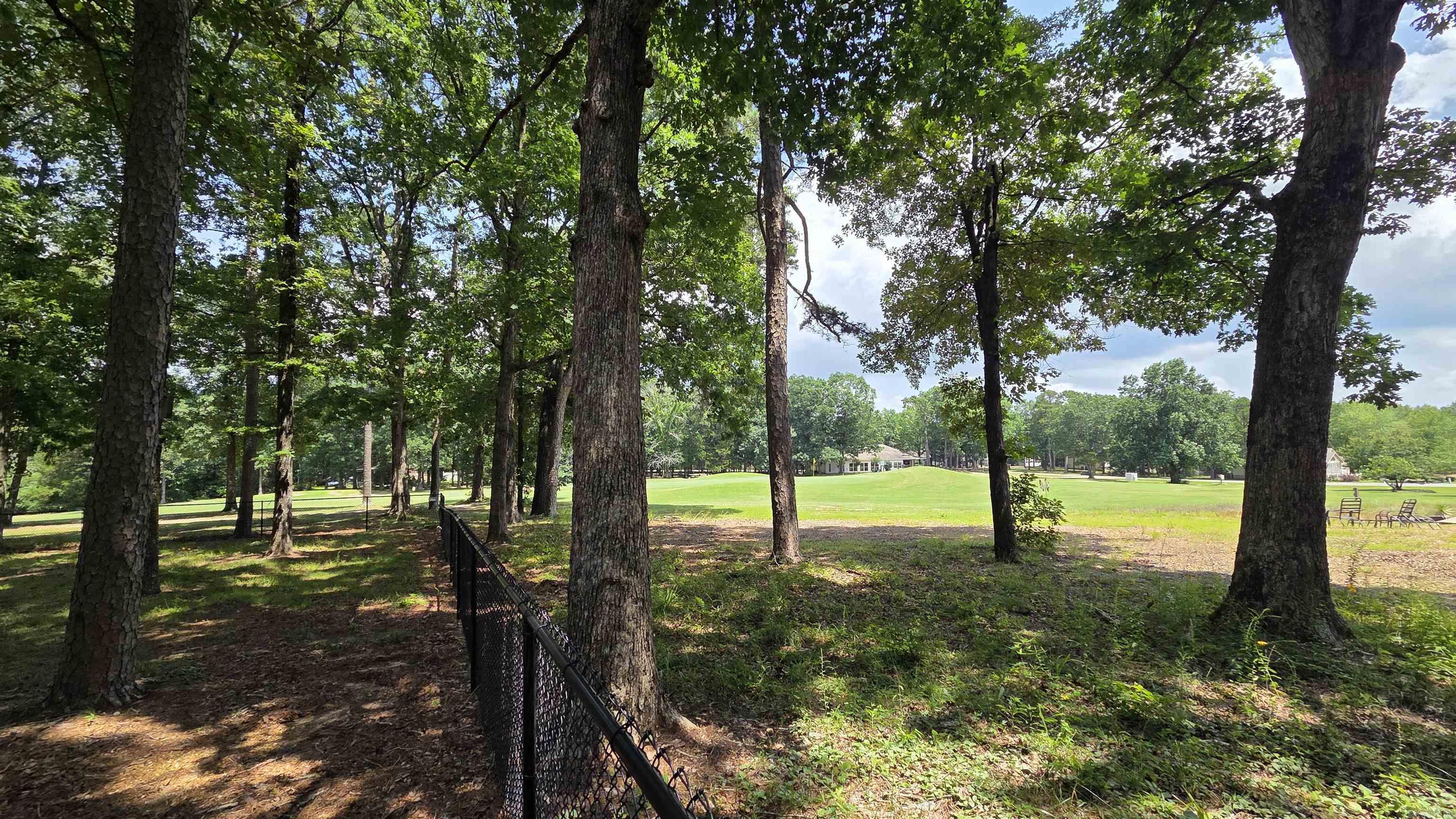 317 Castle Ridge Property Photo 45