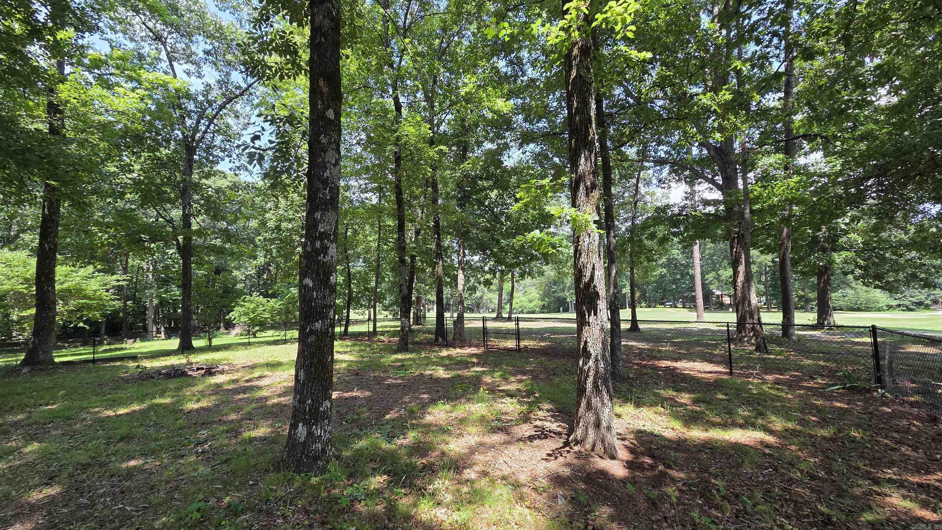 317 Castle Ridge Property Photo 49