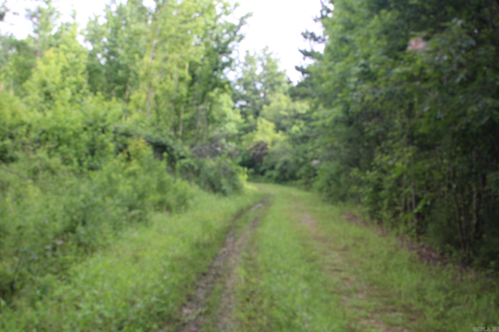 1442 Schaal Road Property Photo 5