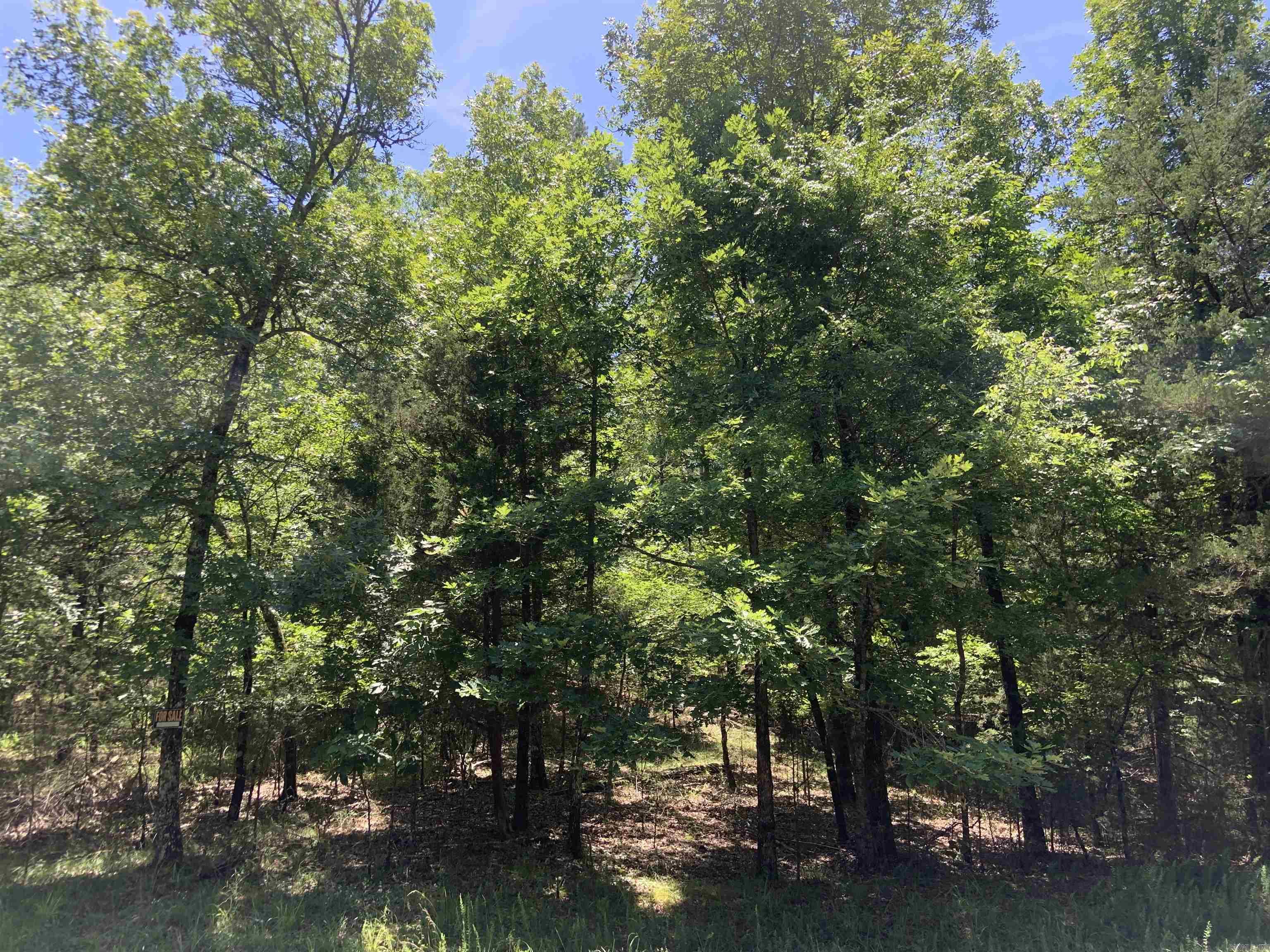 19 Campeon Ln Property Photo 5
