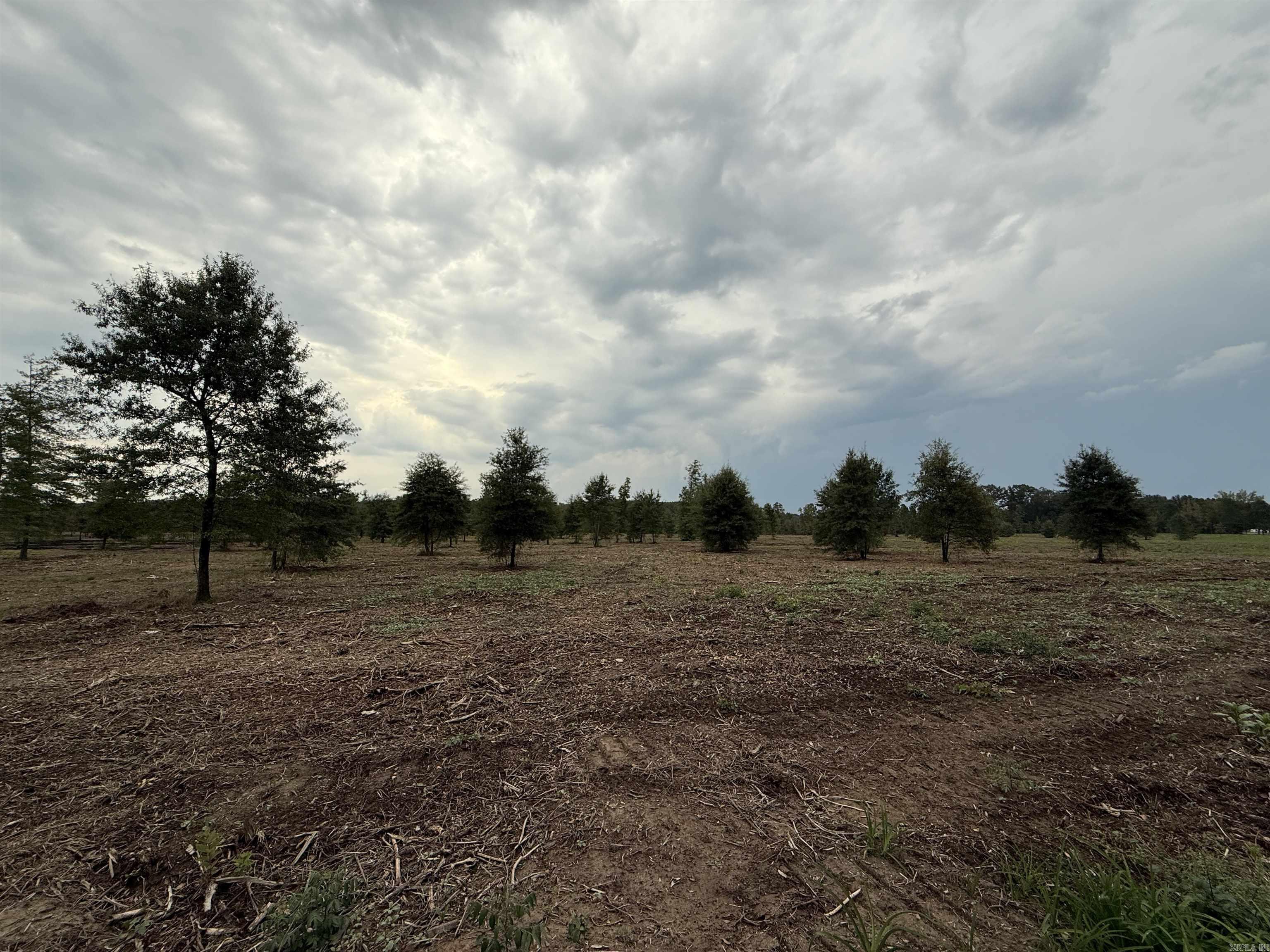 000 Hwy. 13 Property Photo 8