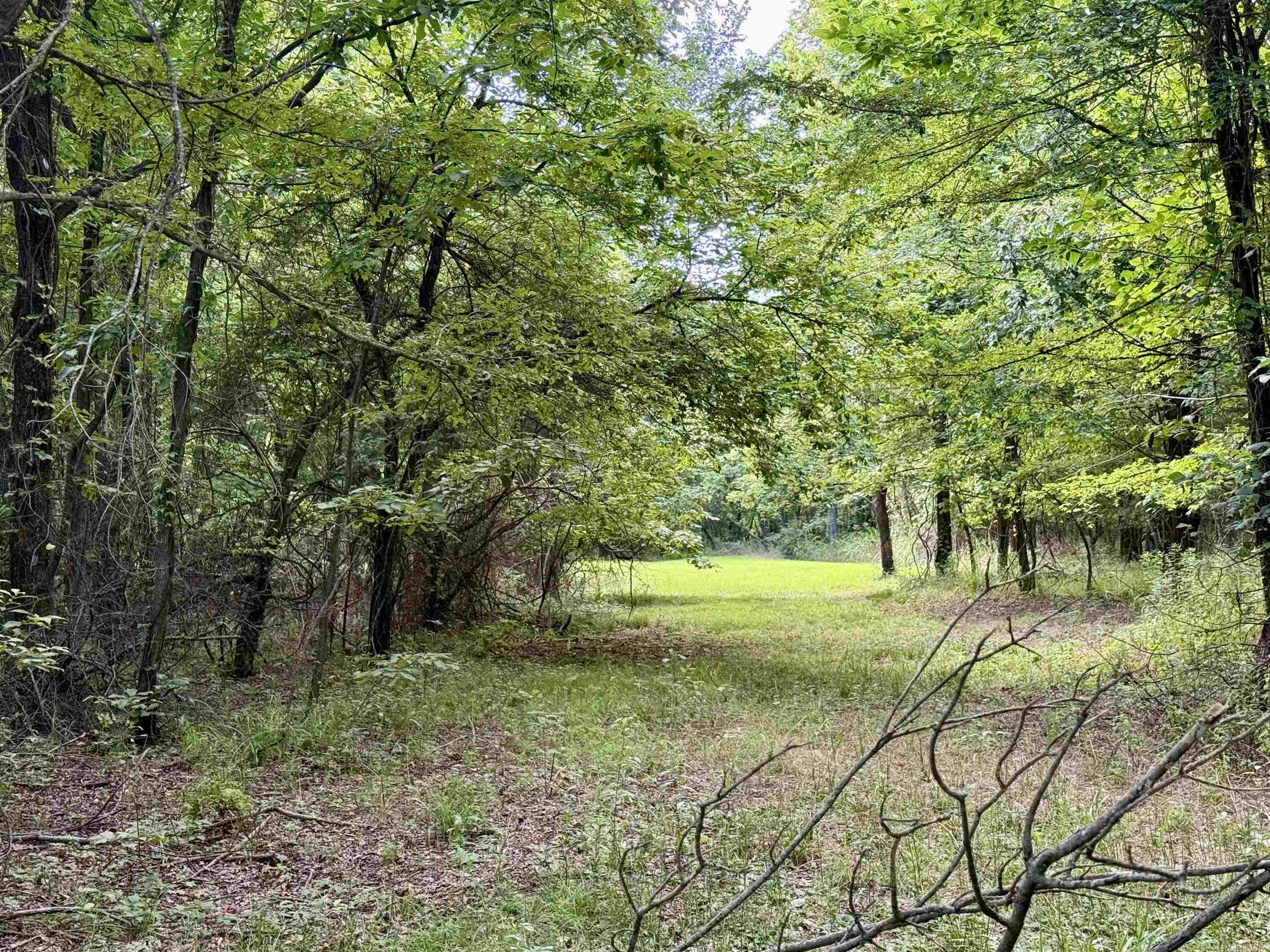 582 County Road 2291 Property Photo 3