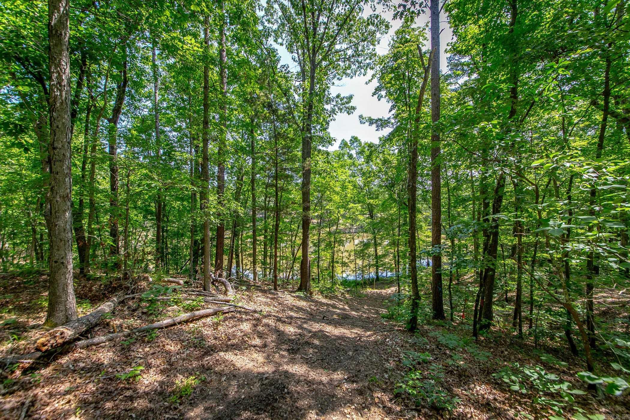136 Private Road 1094 Property Photo 39