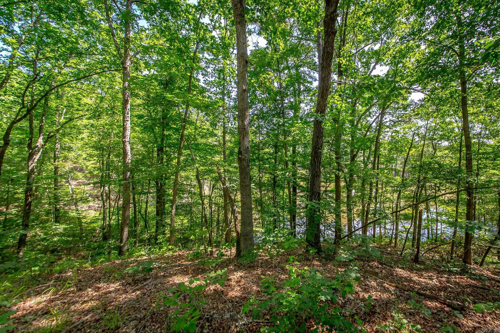 136 Private Road 1094 Property Photo 40