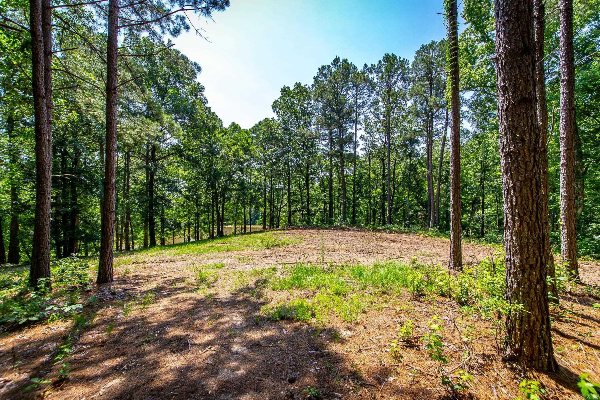 136 Private Road 1094 Property Photo 41