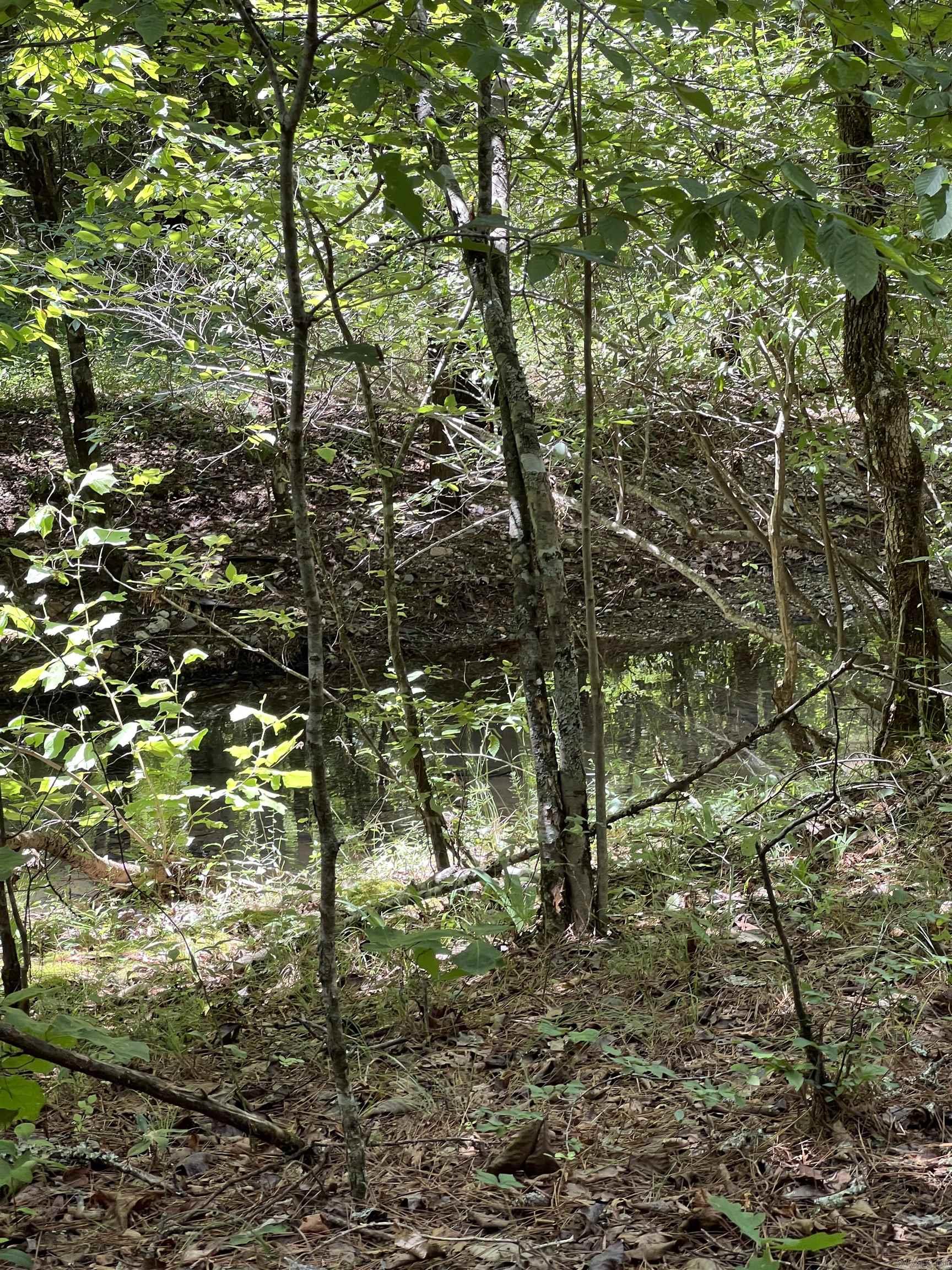 Tbd Pleasant Point Property Photo 3
