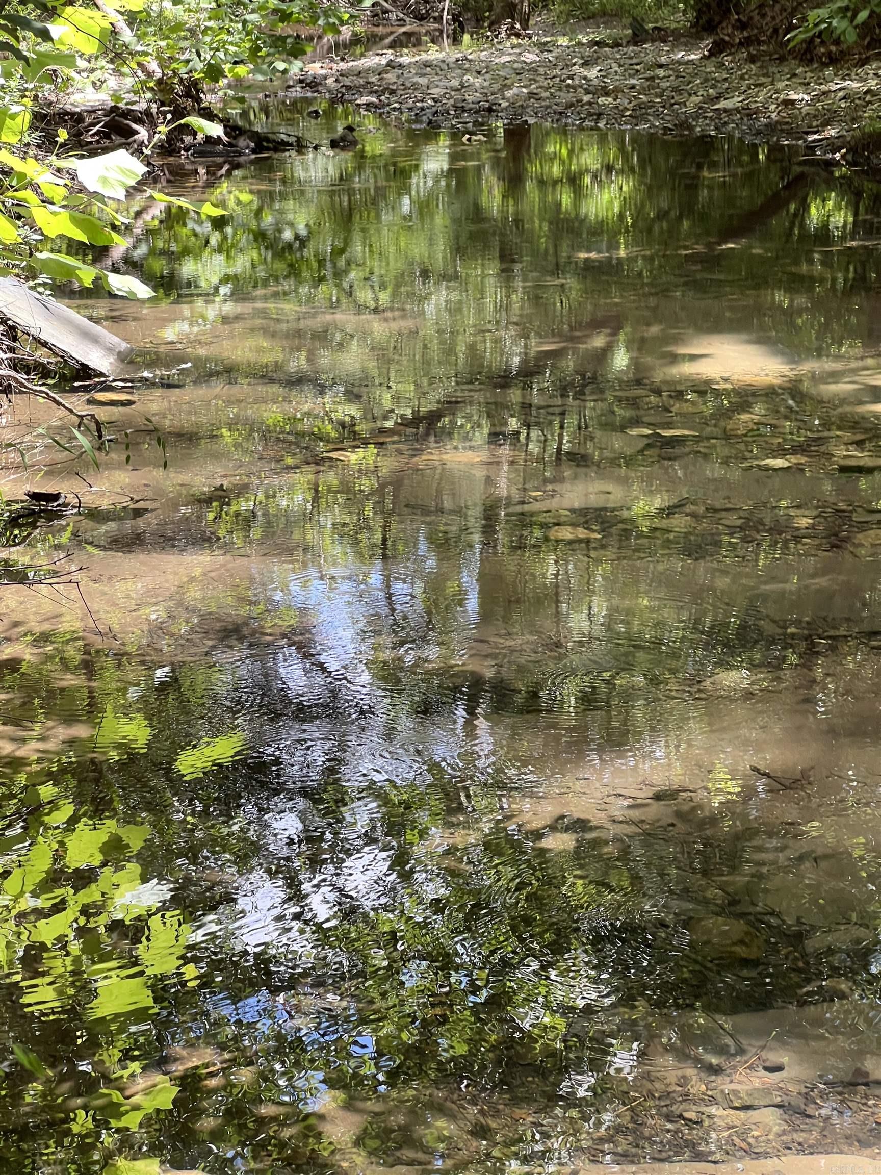 Tbd Pleasant Point Property Photo 6