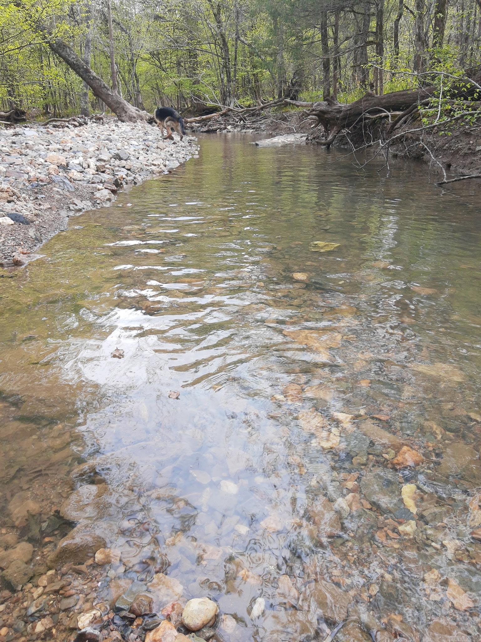Tbd Pleasant Point Property Photo 7