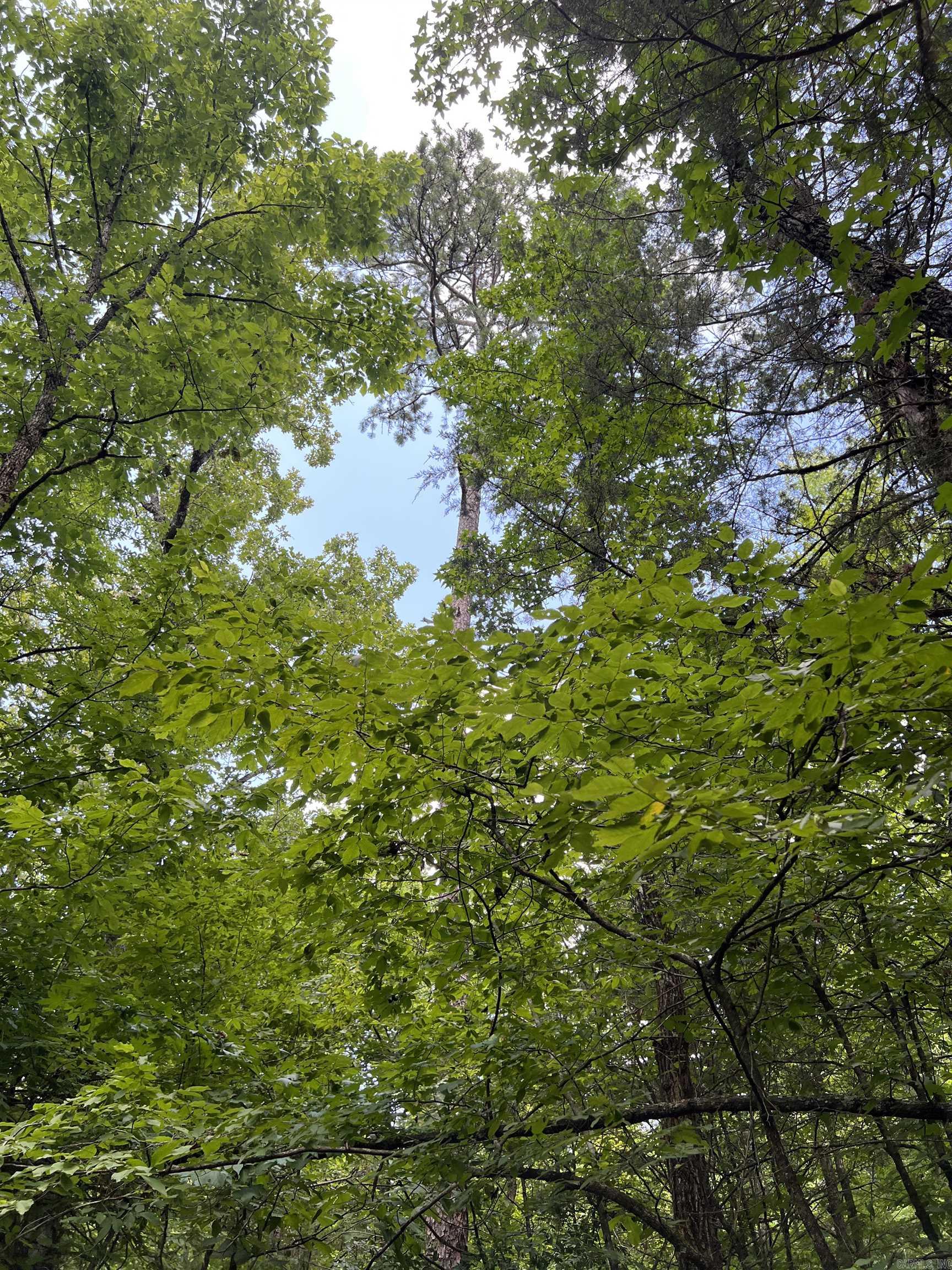 Tbd Pleasant Point Property Photo 8