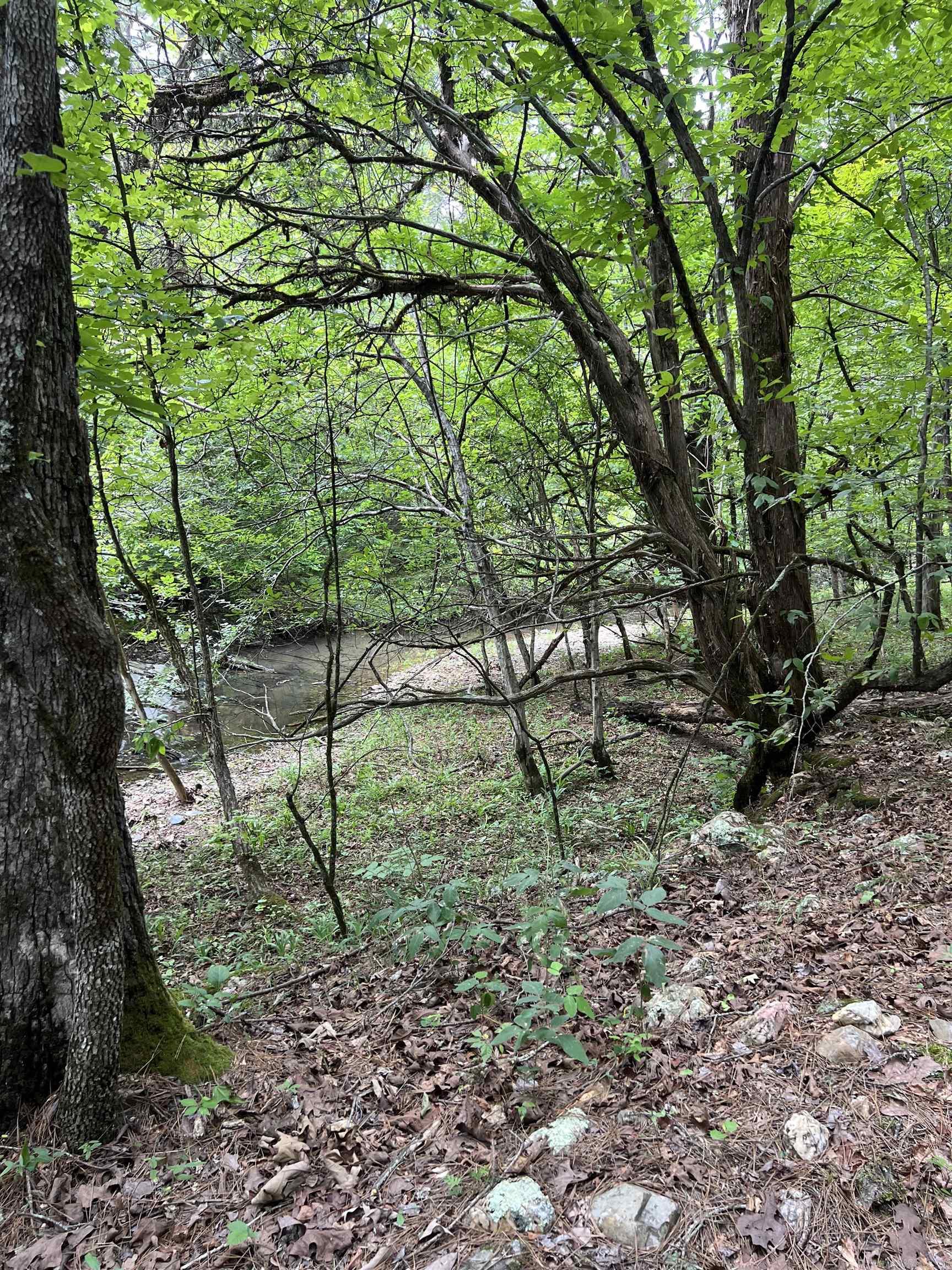 Tbd Pleasant Point Property Photo 9