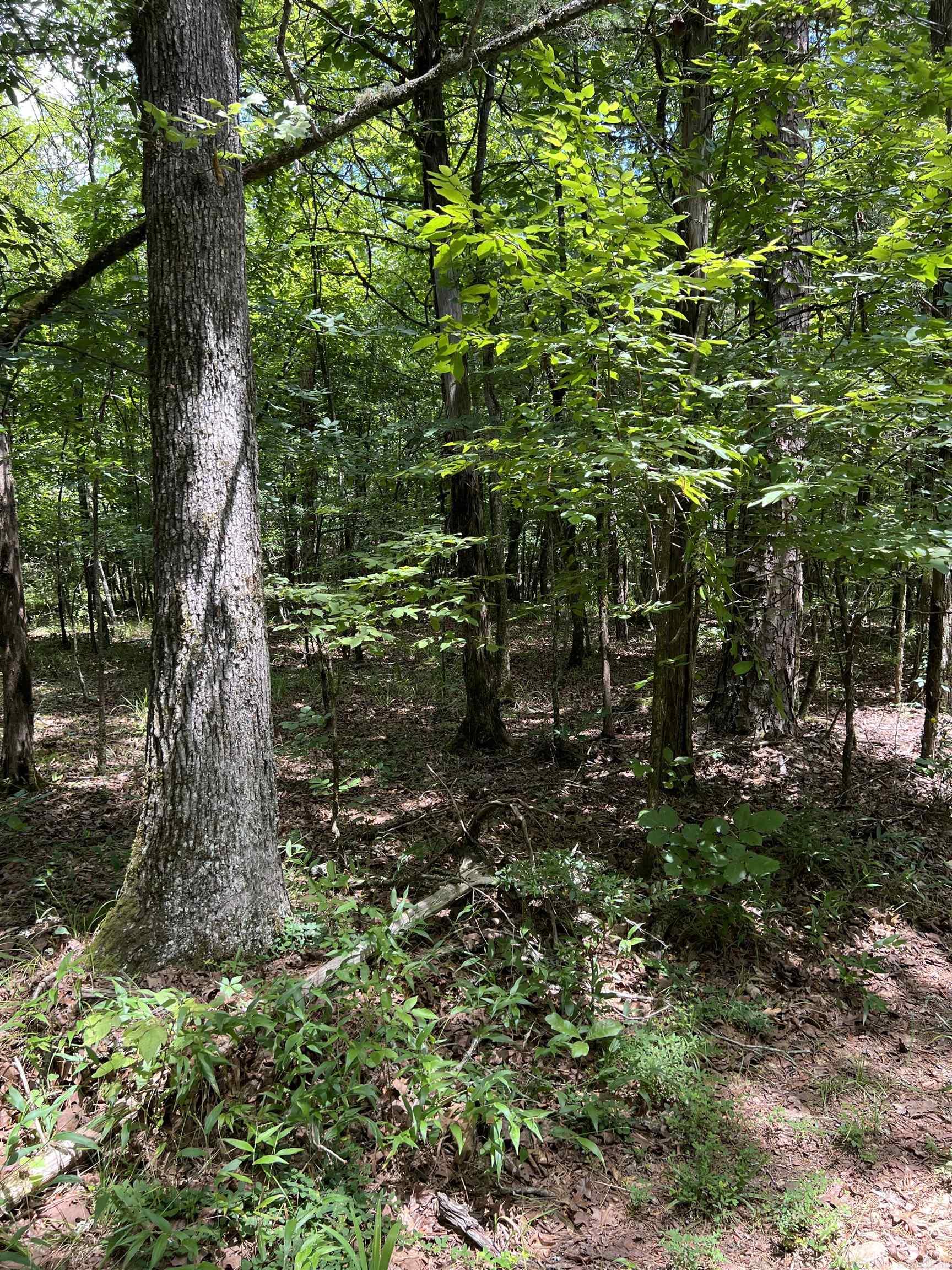 Tbd Pleasant Point Property Photo 10