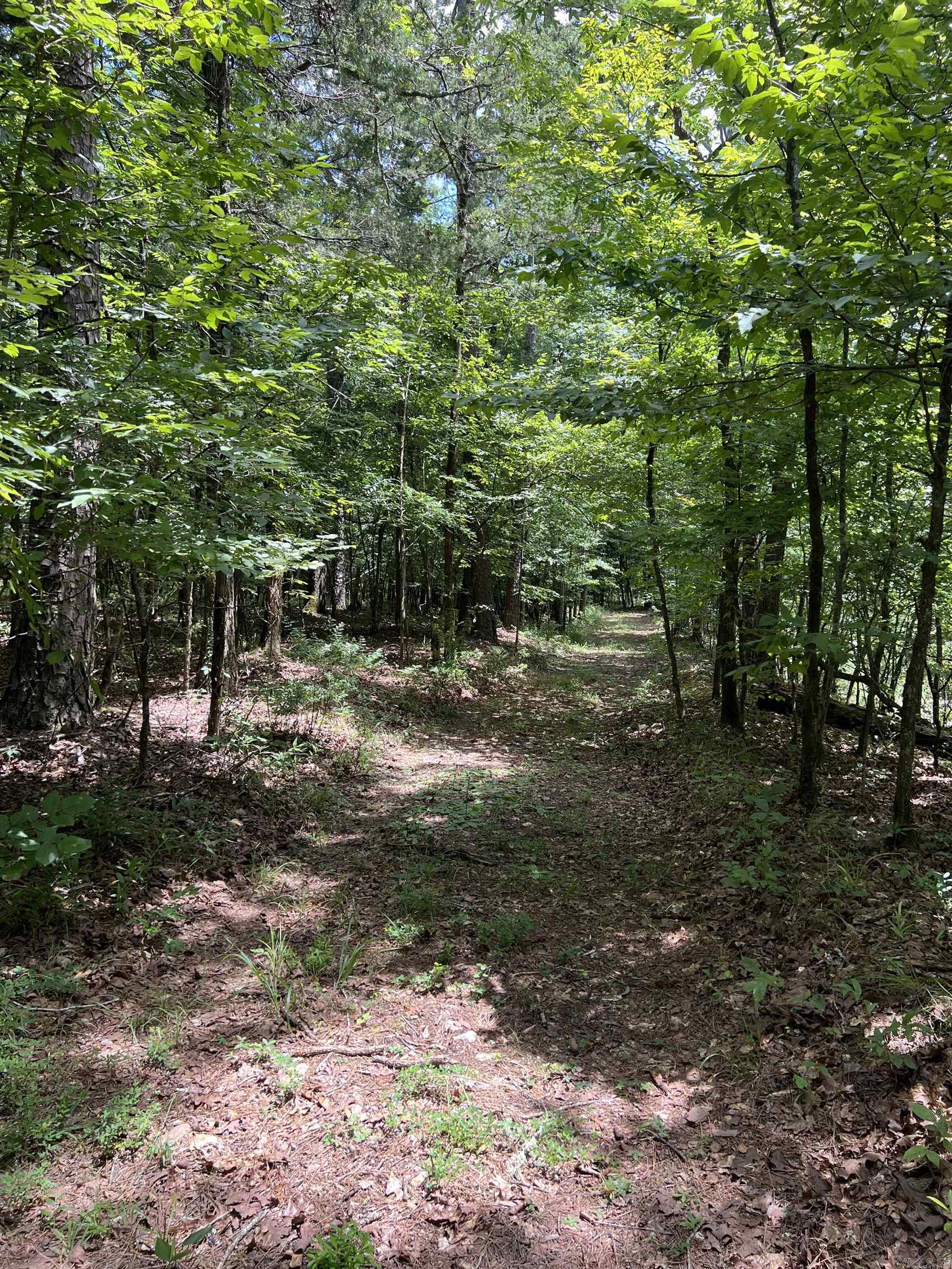 Tbd Pleasant Point Property Photo 11