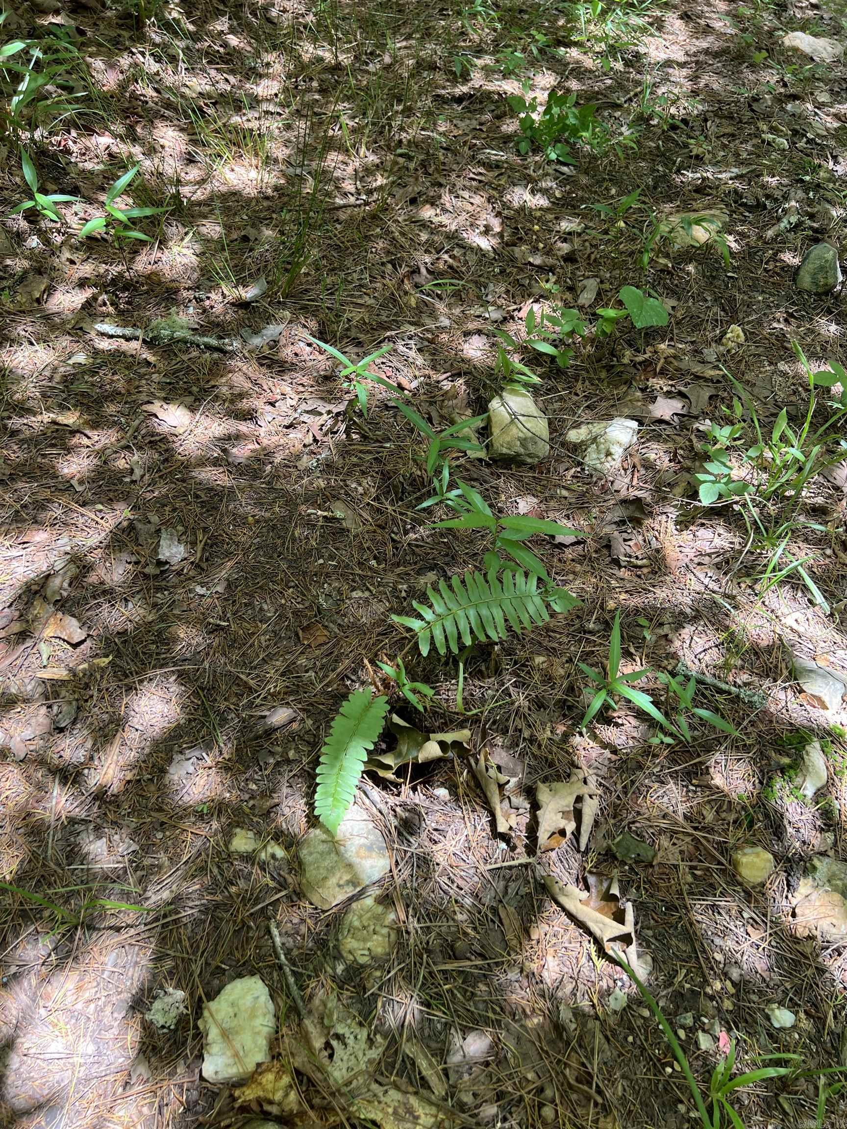 Tbd Pleasant Point Property Photo 12