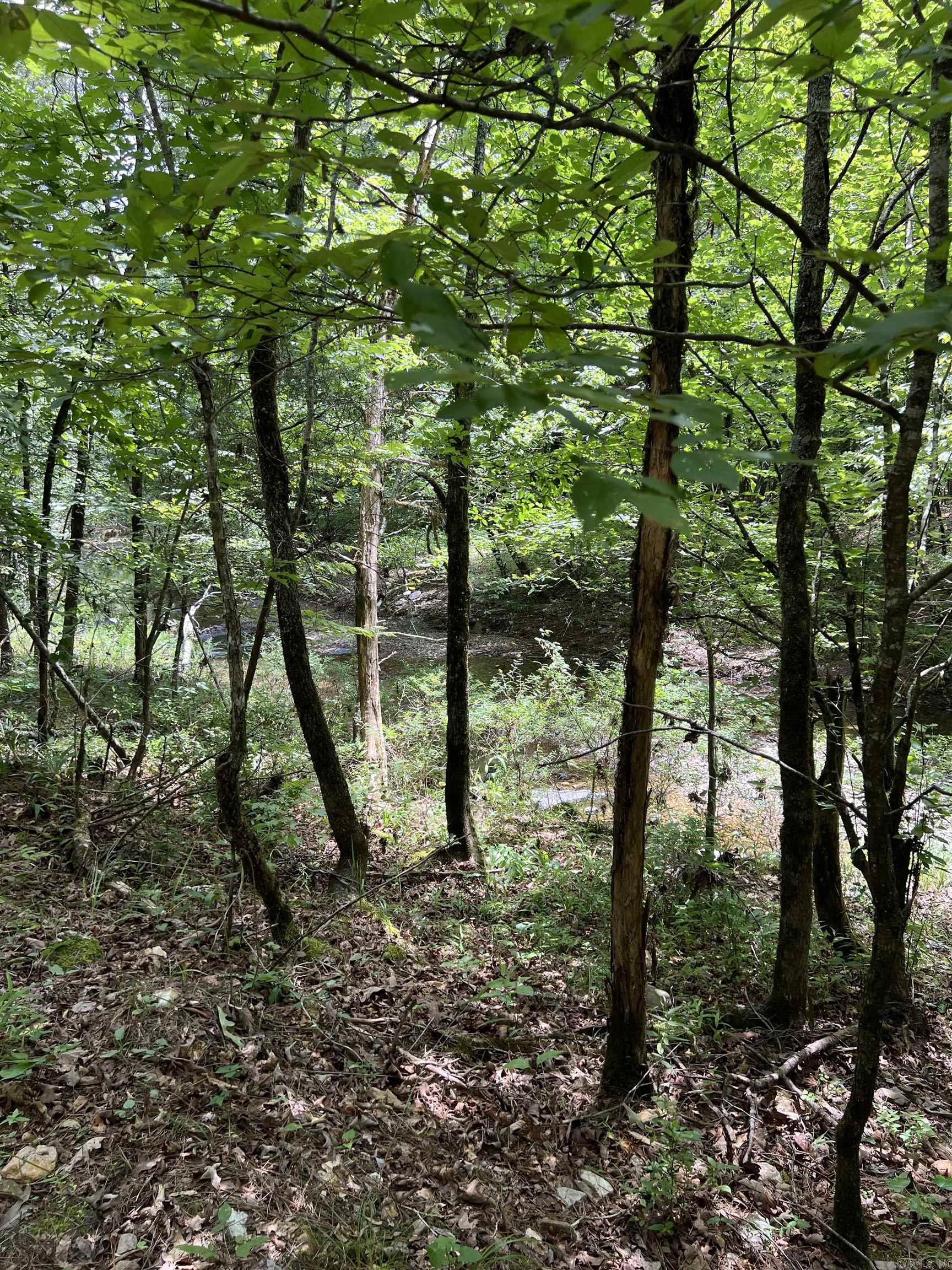 Tbd Pleasant Point Property Photo 13