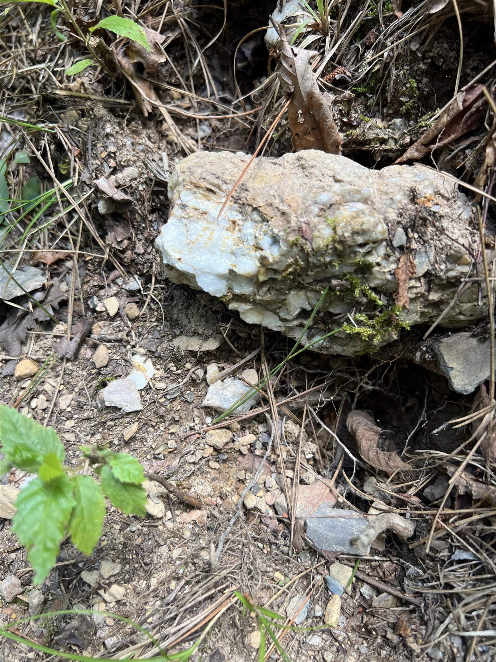 Tbd Pleasant Point Property Photo 14