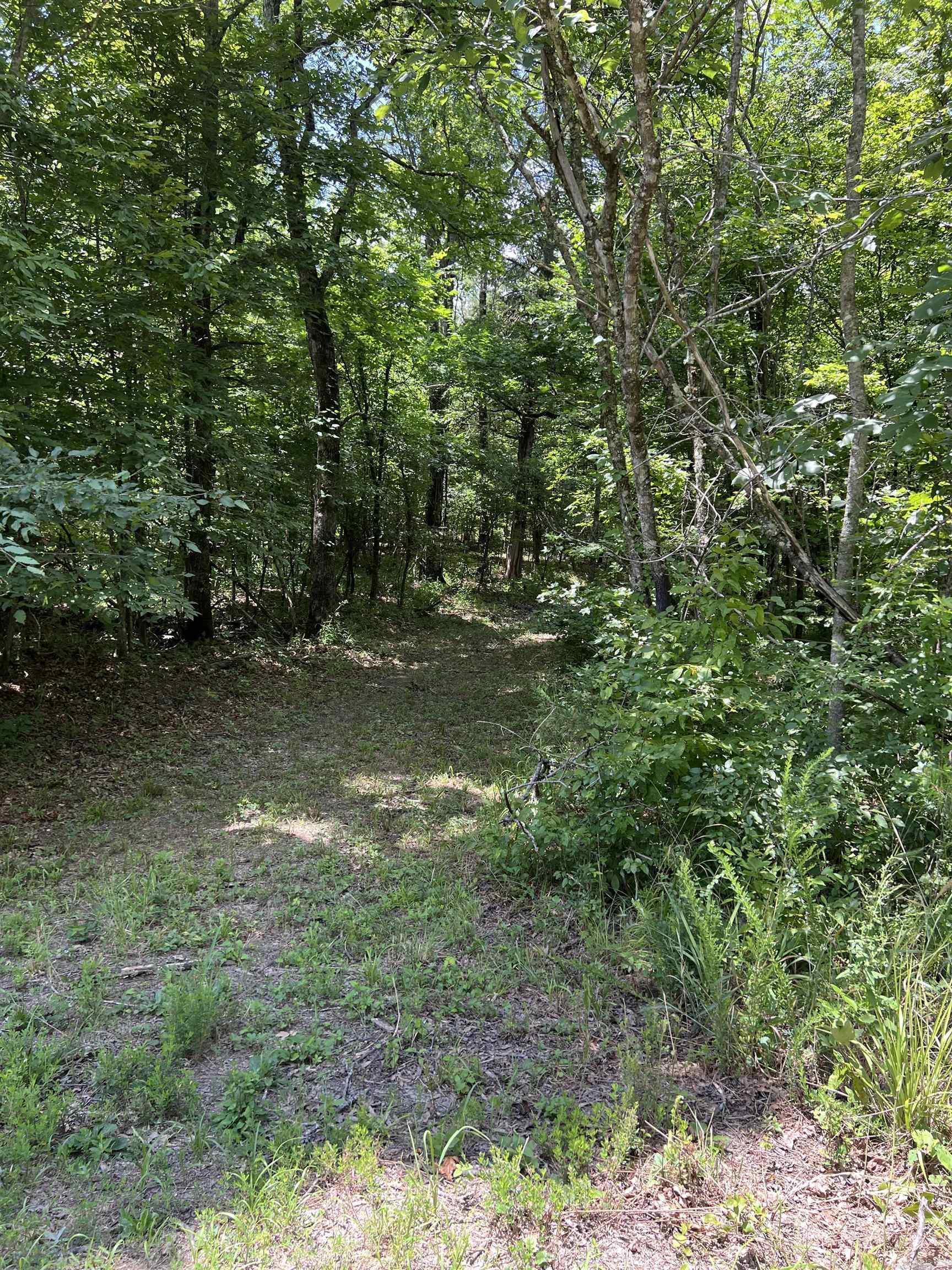 Tbd Pleasant Point Property Photo 15