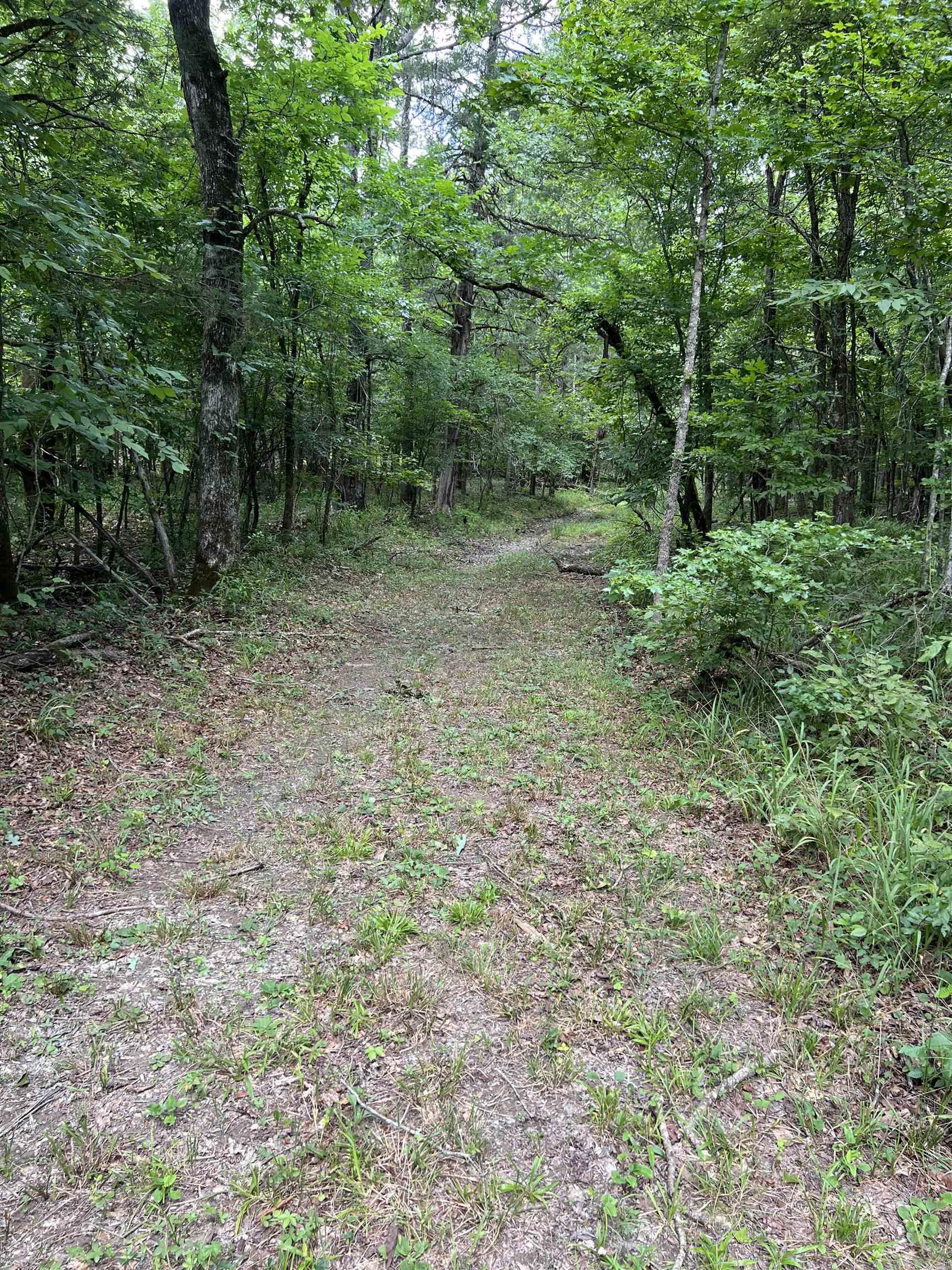 Tbd Pleasant Point Property Photo 16
