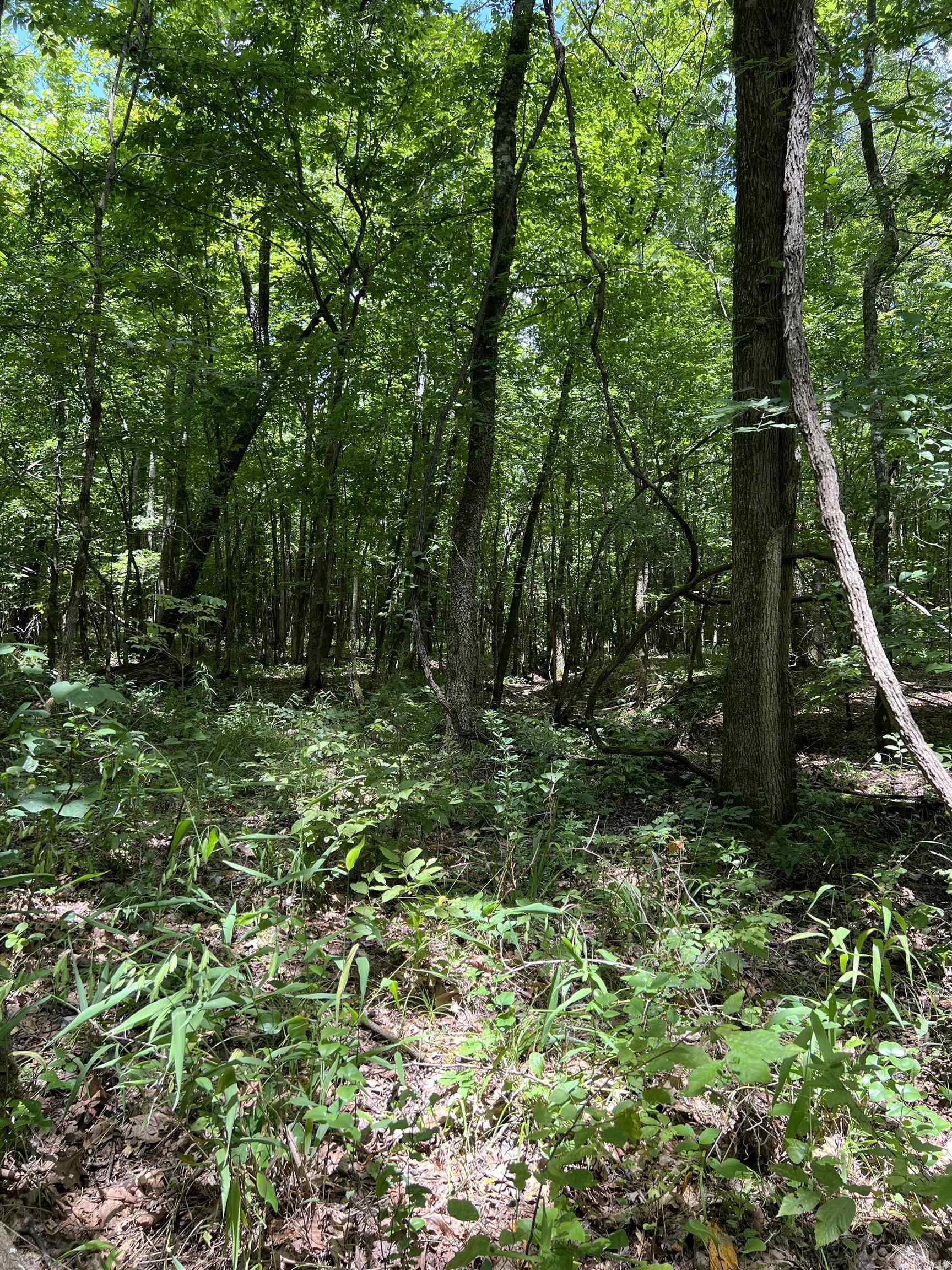 Tbd Pleasant Point Property Photo 17