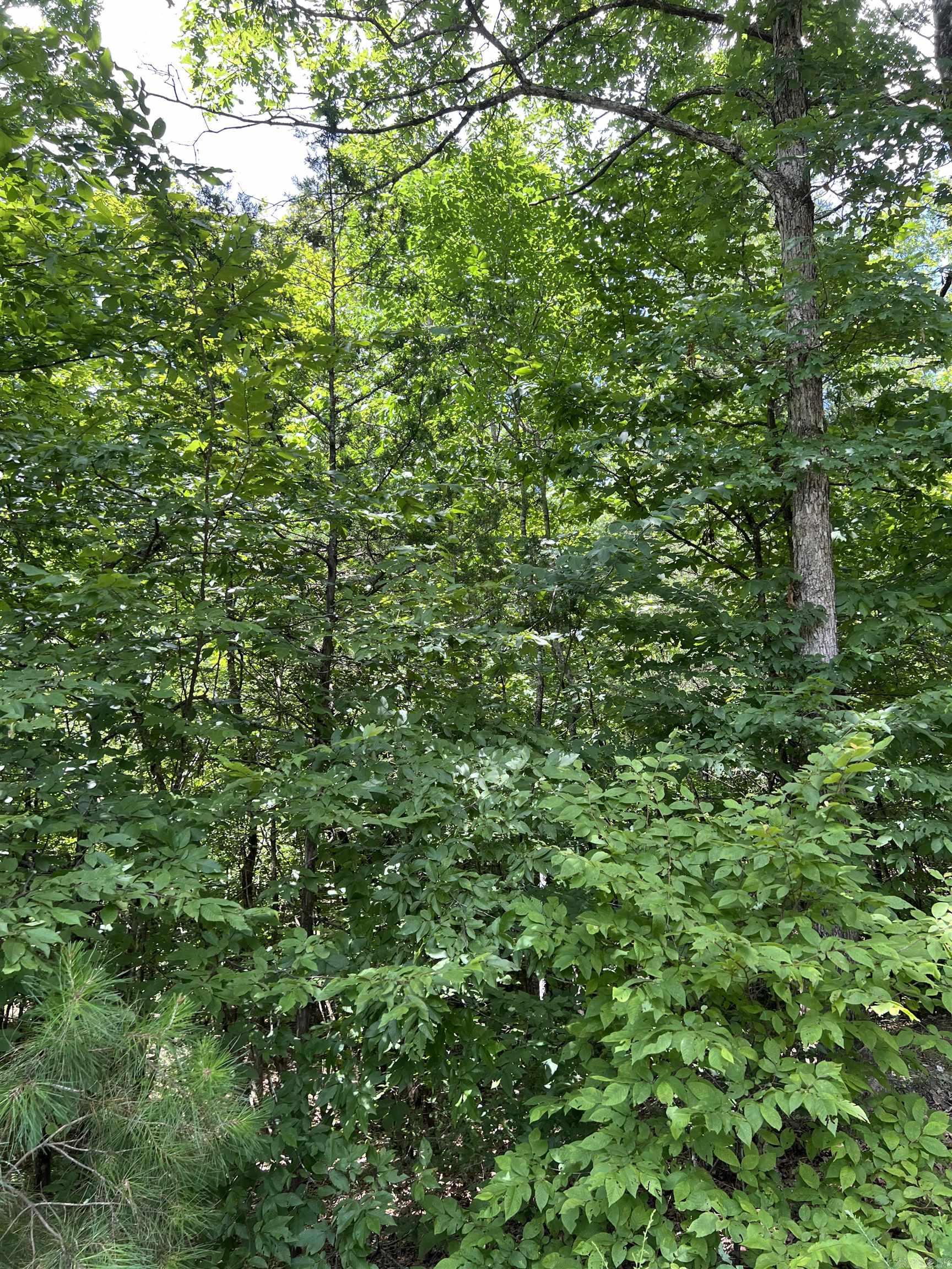 Tbd Pleasant Point Property Photo 18