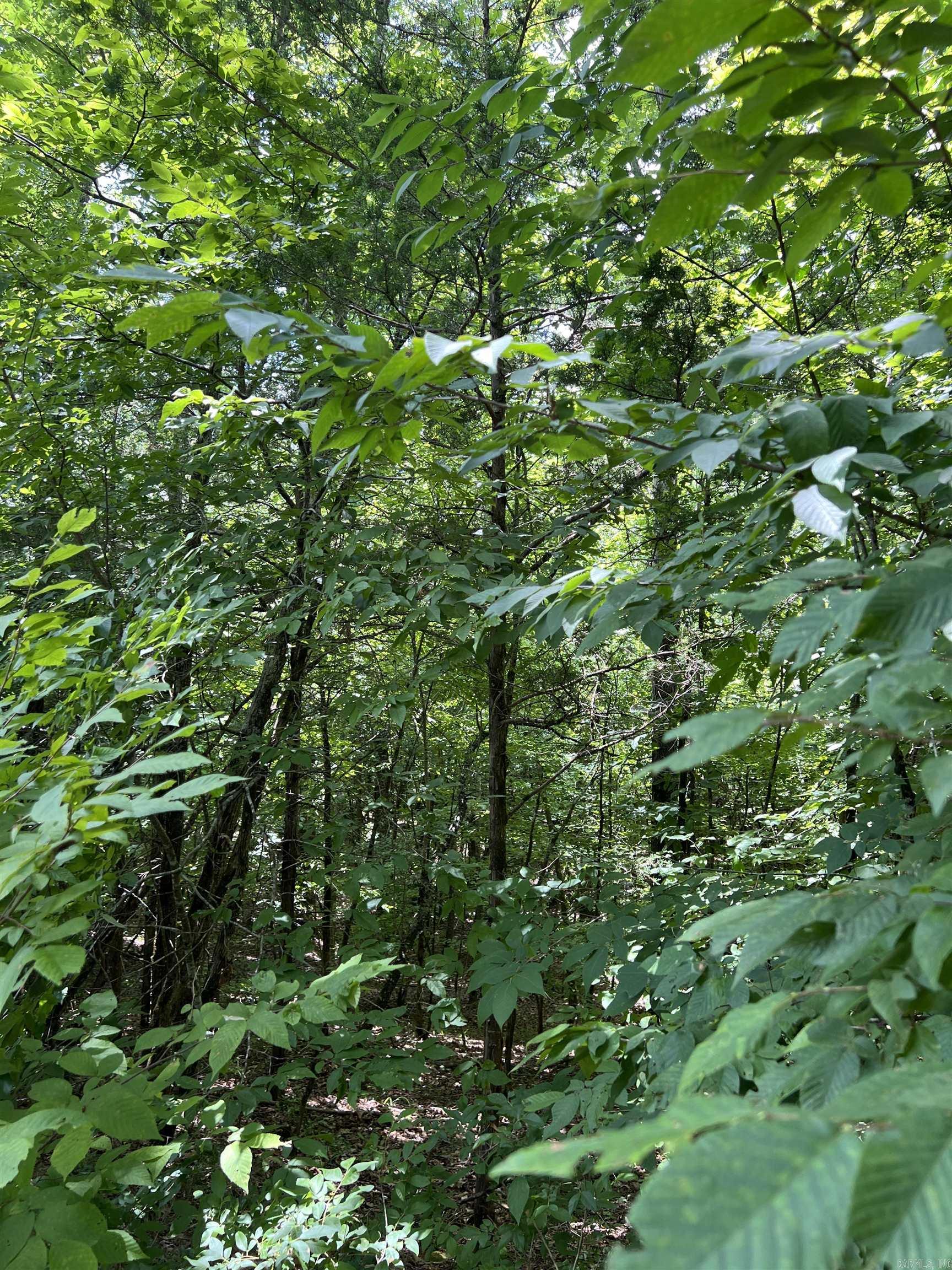Tbd Pleasant Point Property Photo 19