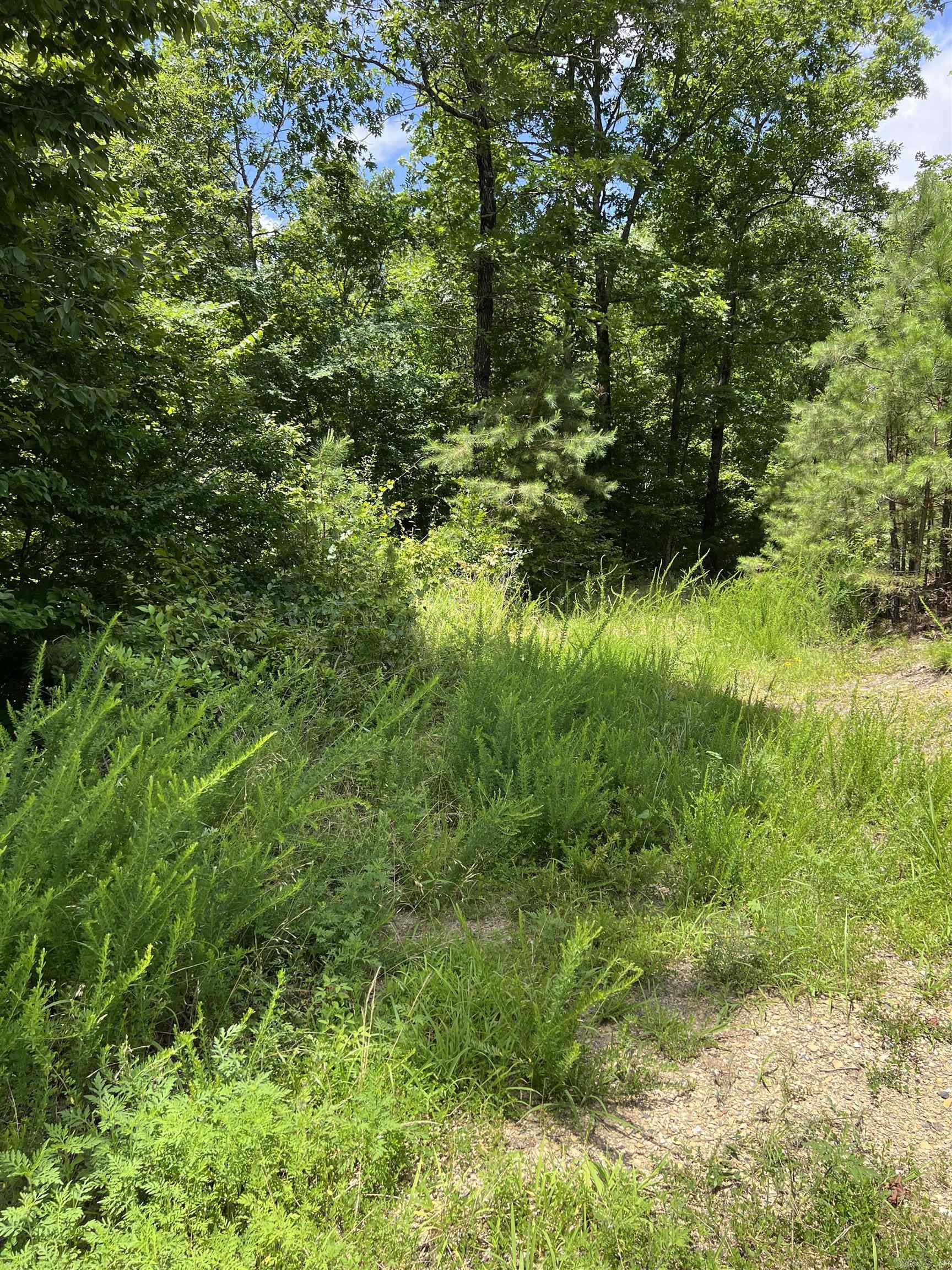 Tbd Pleasant Point Property Photo 20