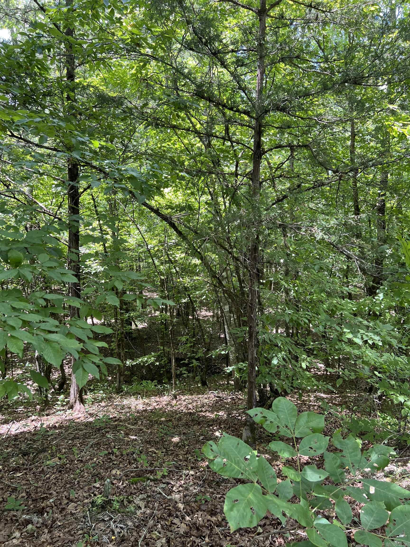 Tbd Pleasant Point Property Photo 21