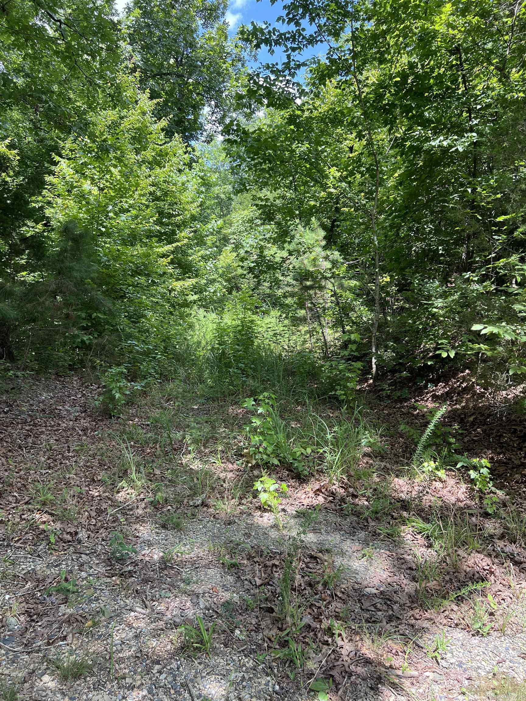Tbd Pleasant Point Property Photo 22