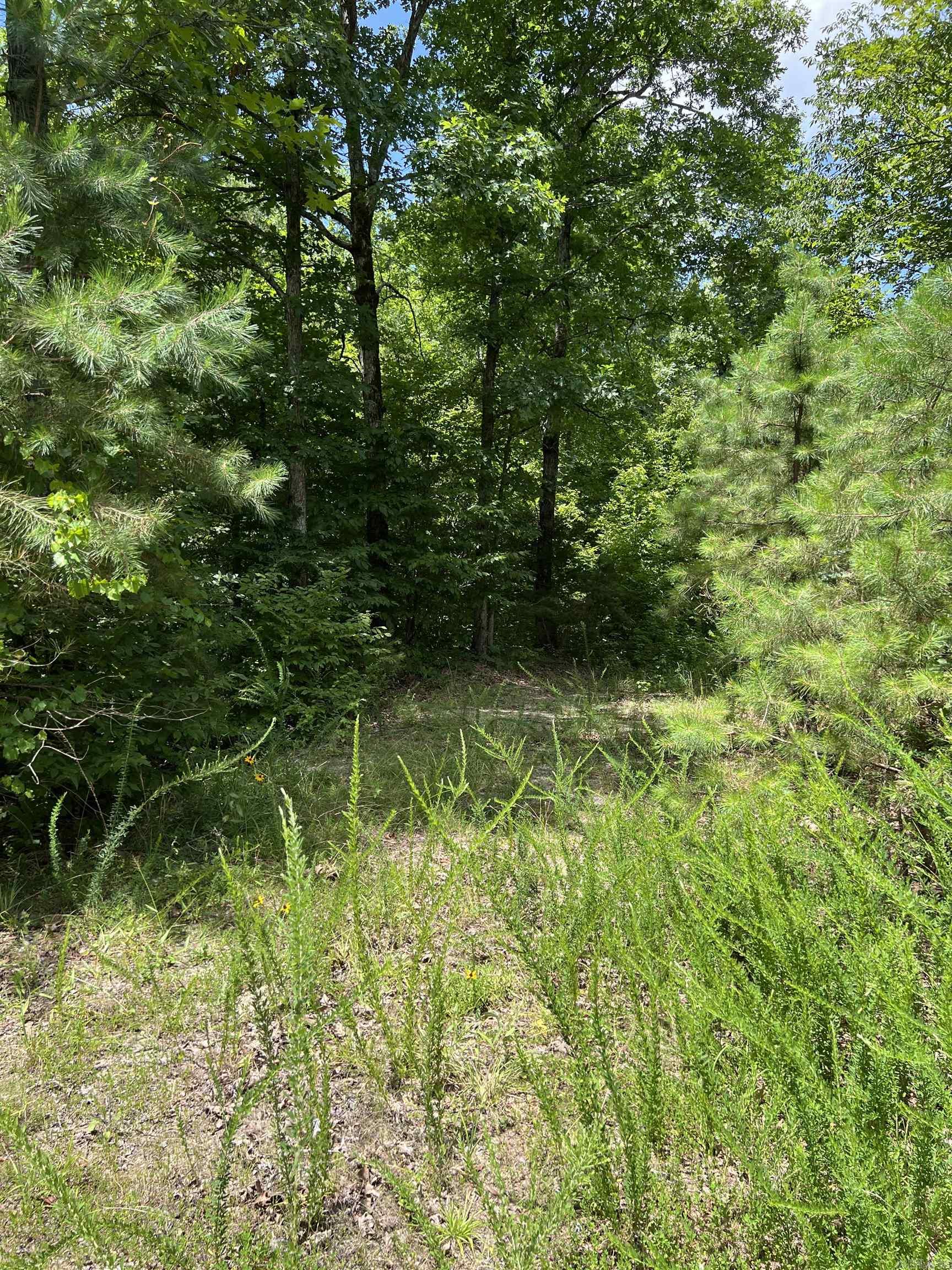 Tbd Pleasant Point Property Photo 23