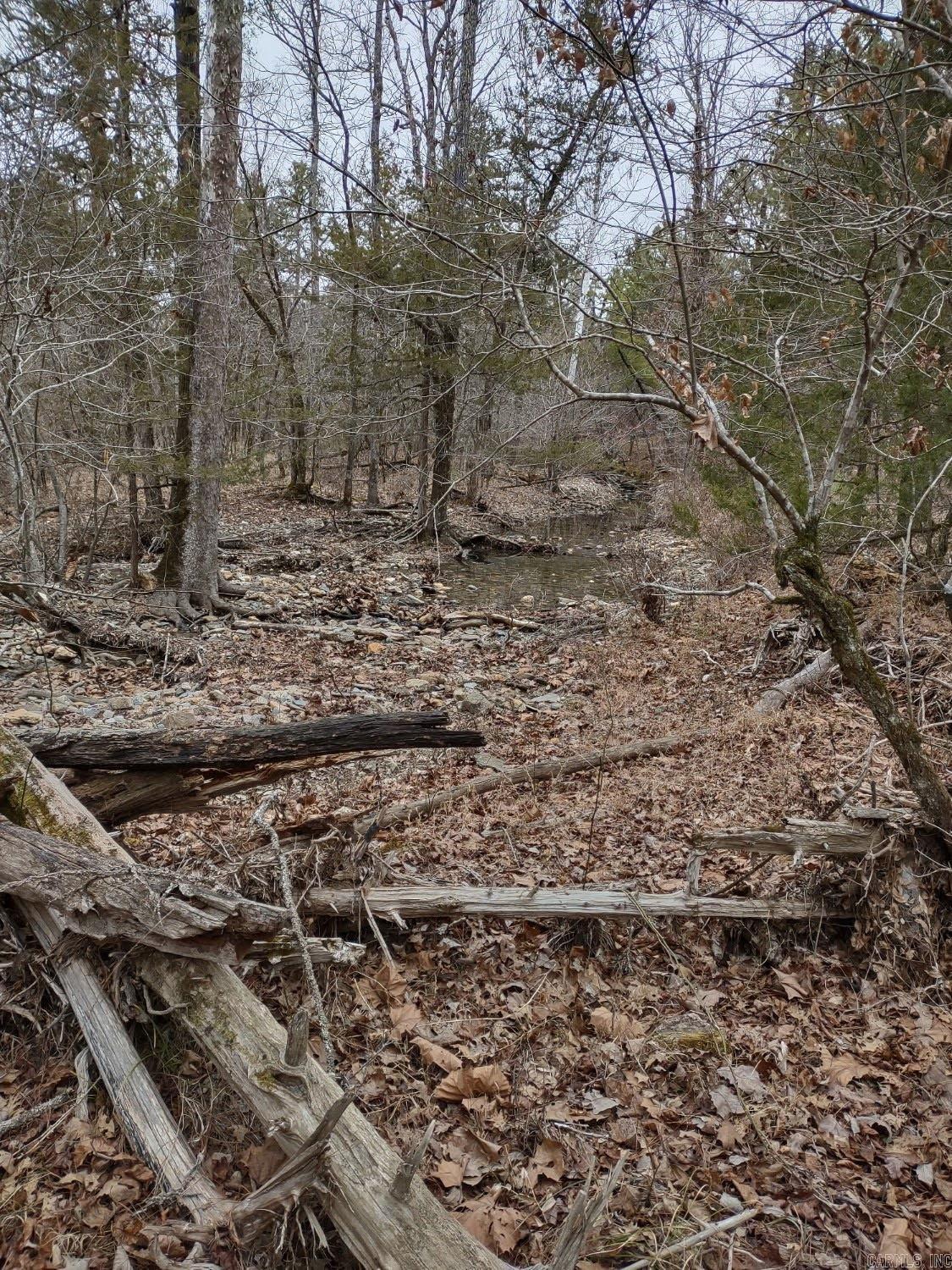 Tbd Pleasant Point Property Photo 26