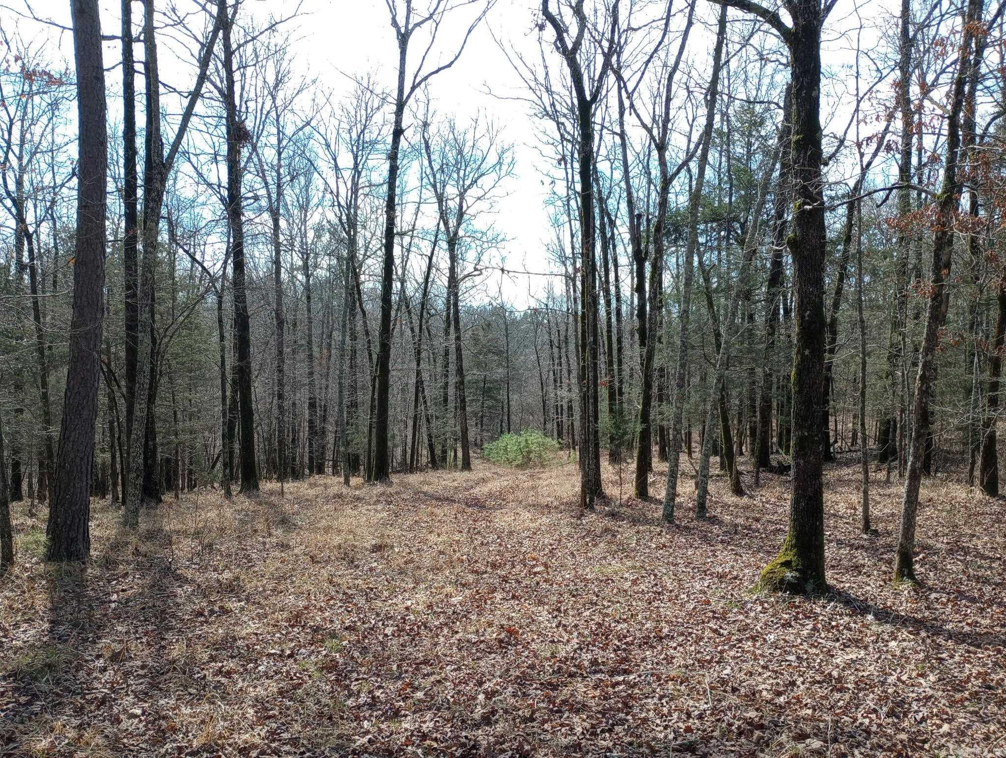 Tbd Pleasant Point Property Photo 28