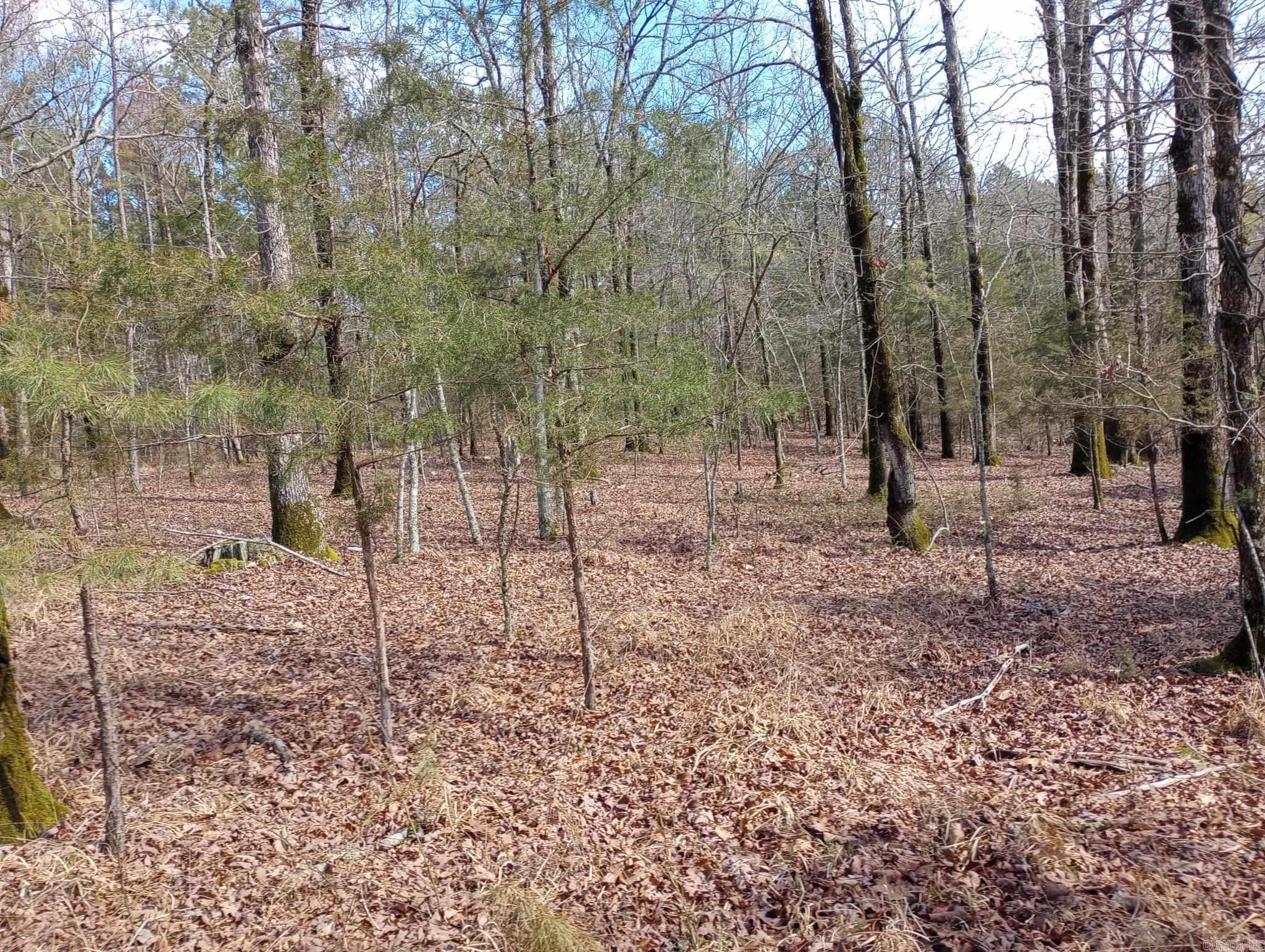 Tbd Pleasant Point Property Photo 29