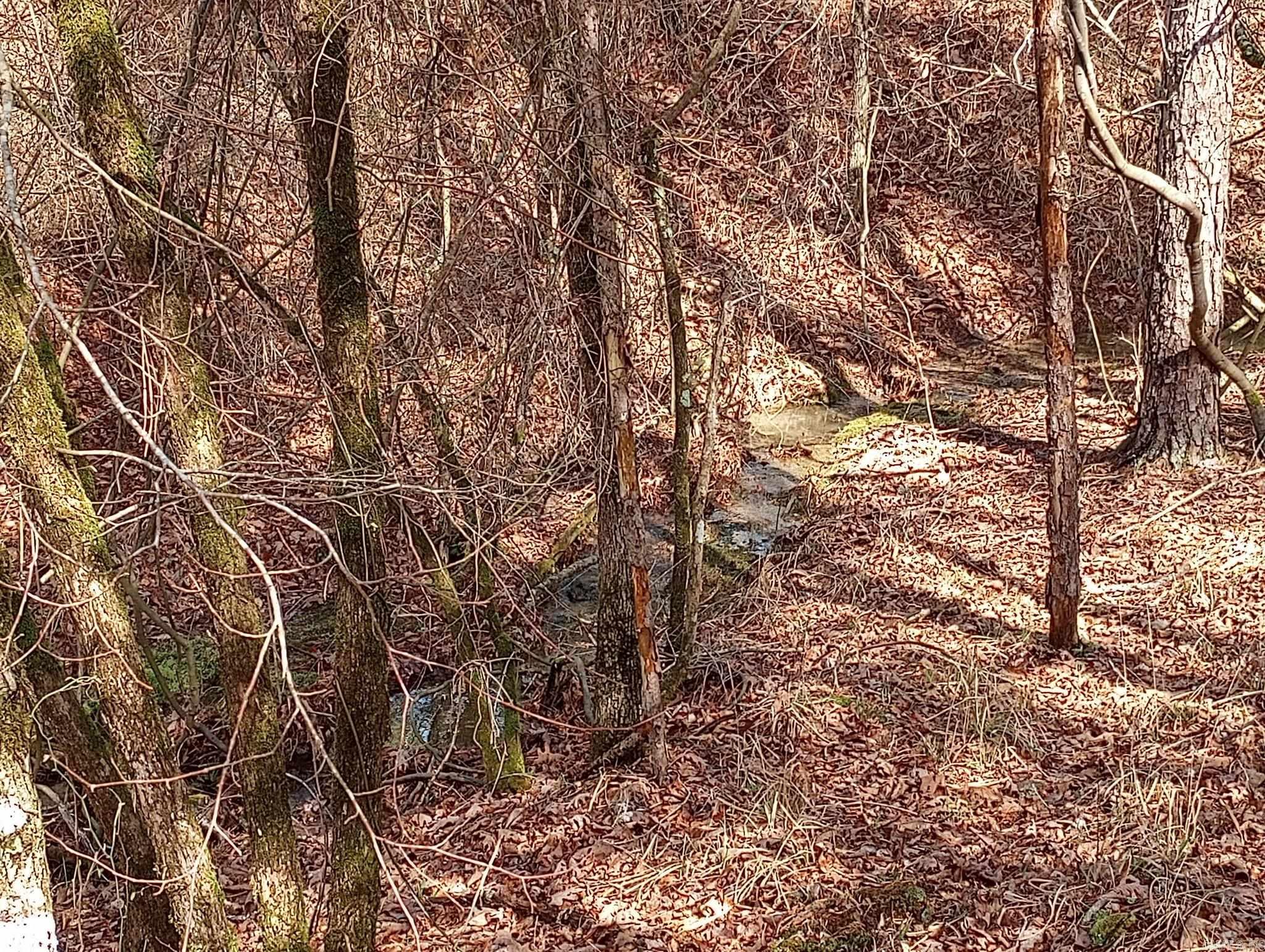 Tbd Pleasant Point Property Photo 30