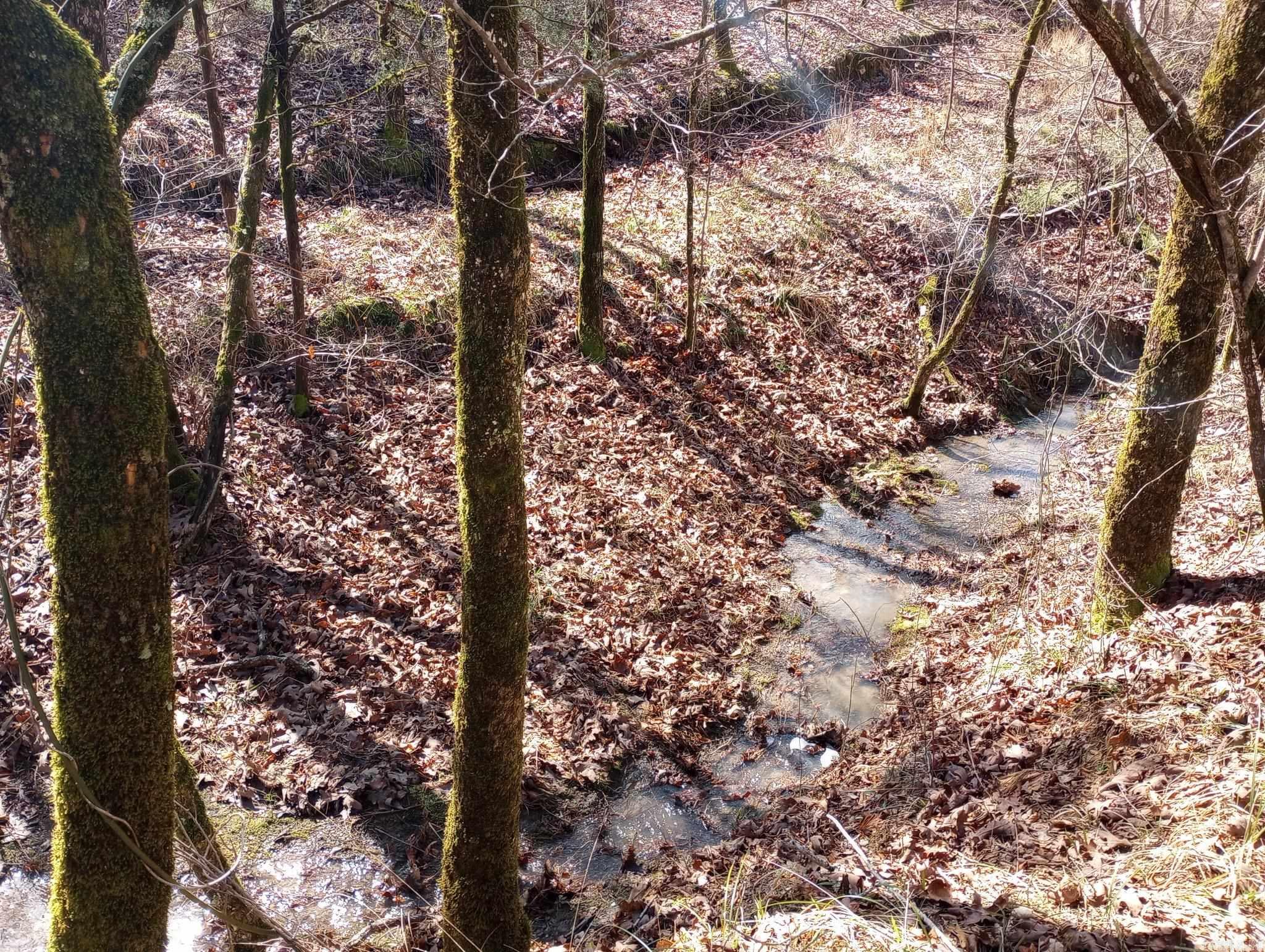 Tbd Pleasant Point Property Photo 31