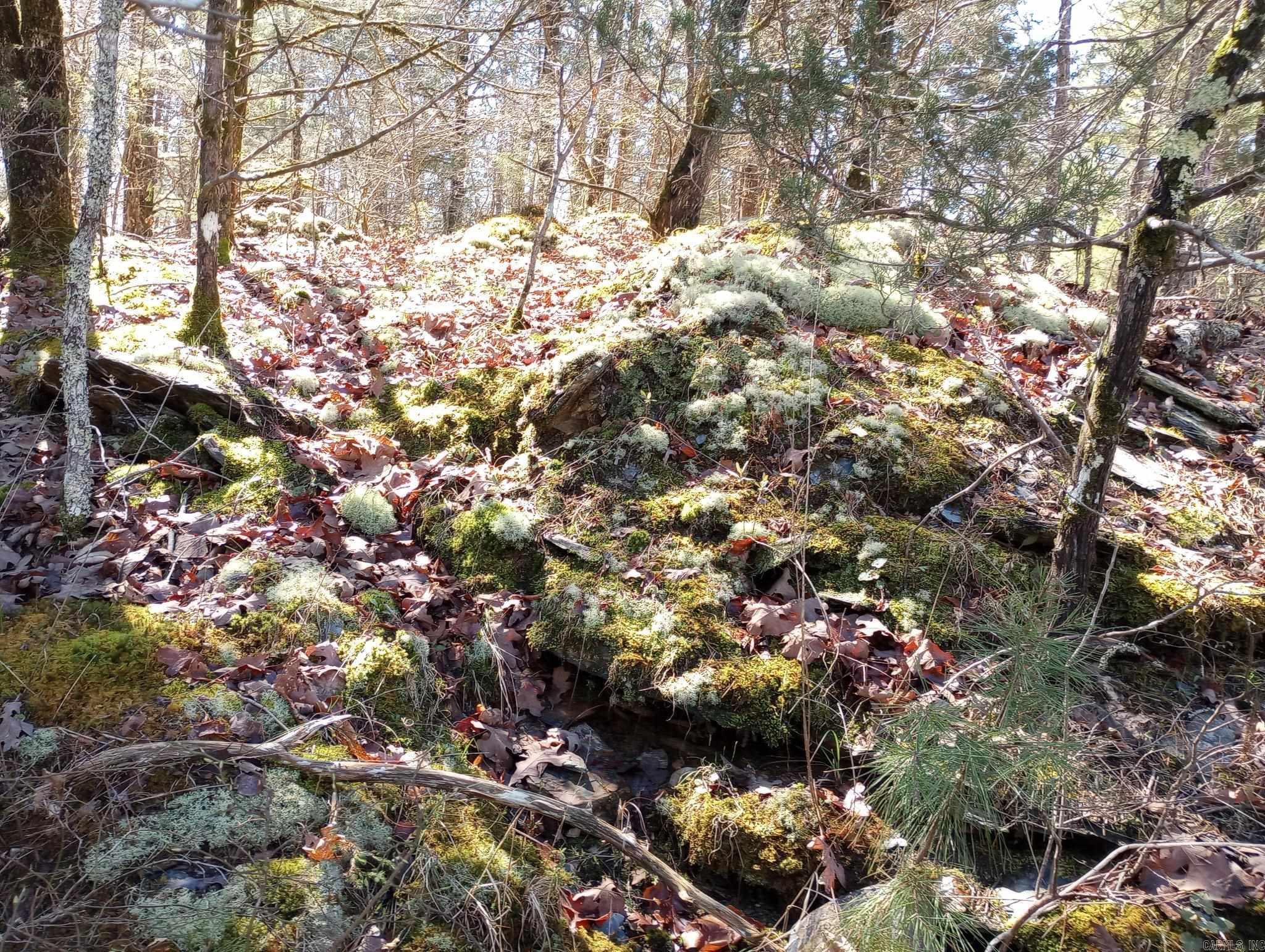 Tbd Pleasant Point Property Photo 32