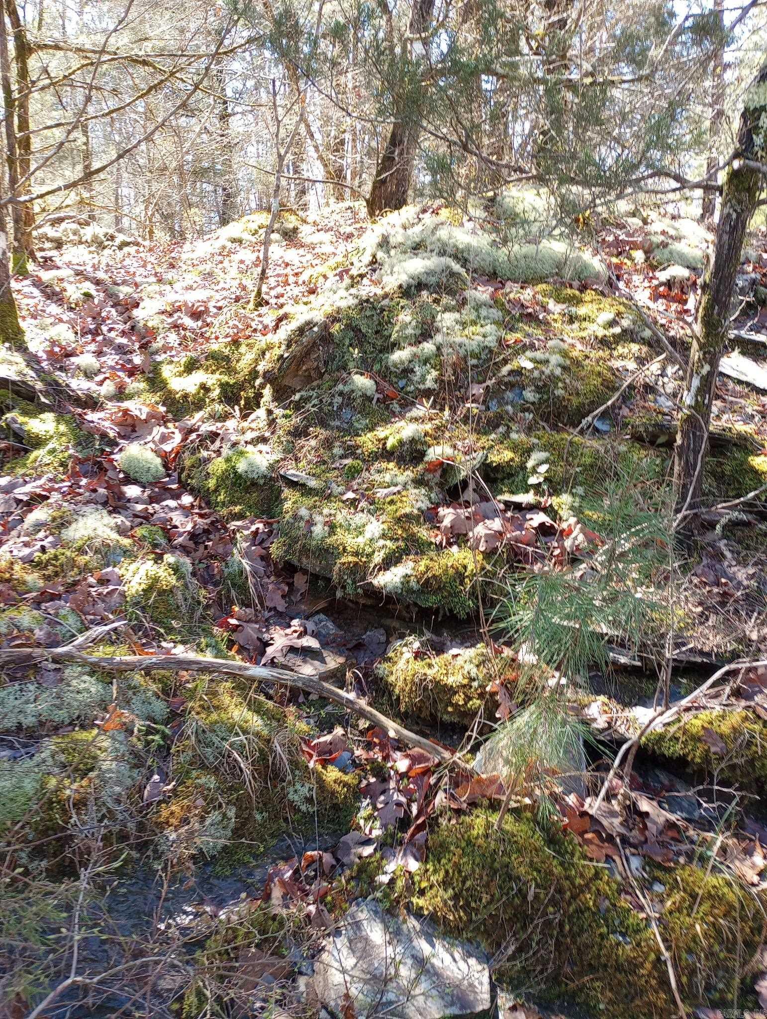 Tbd Pleasant Point Property Photo 33