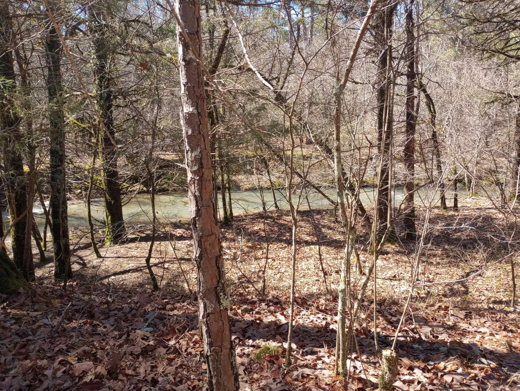 Tbd Pleasant Point Property Photo 34