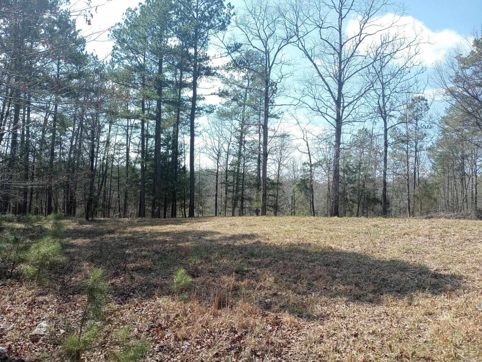 Tbd Pleasant Point Property Photo 36