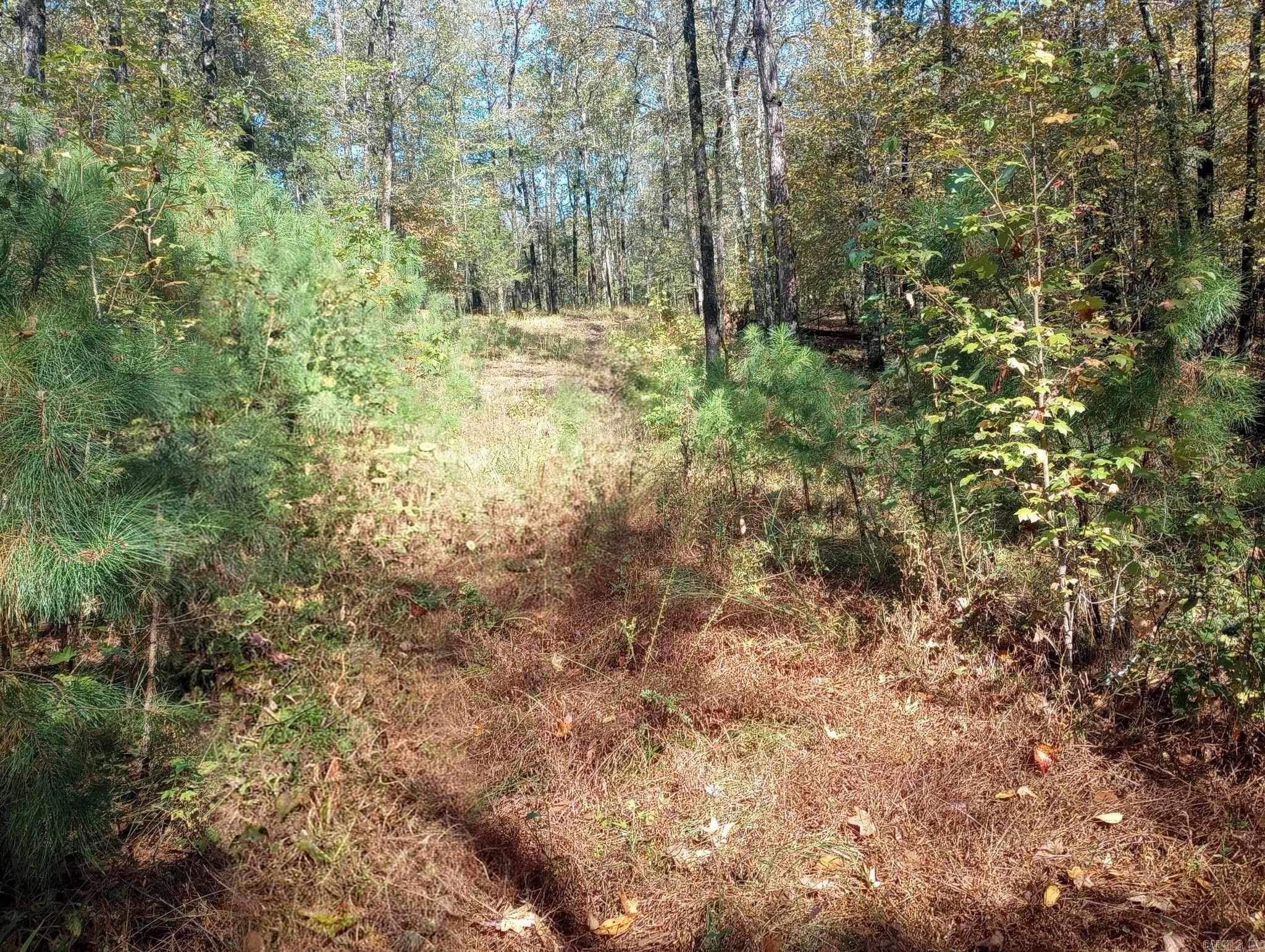 Tbd Pleasant Point Property Photo 37