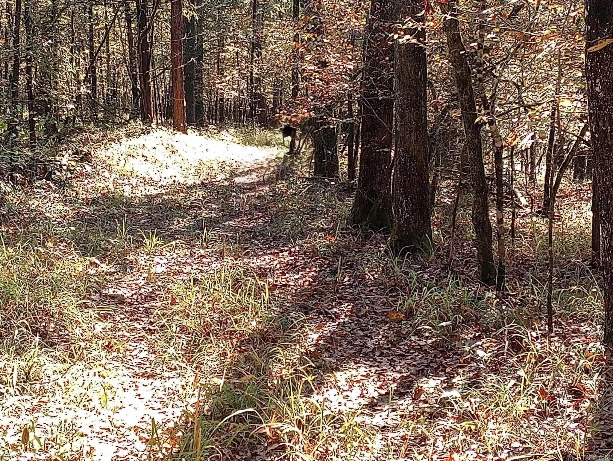 Tbd Pleasant Point Property Photo 38