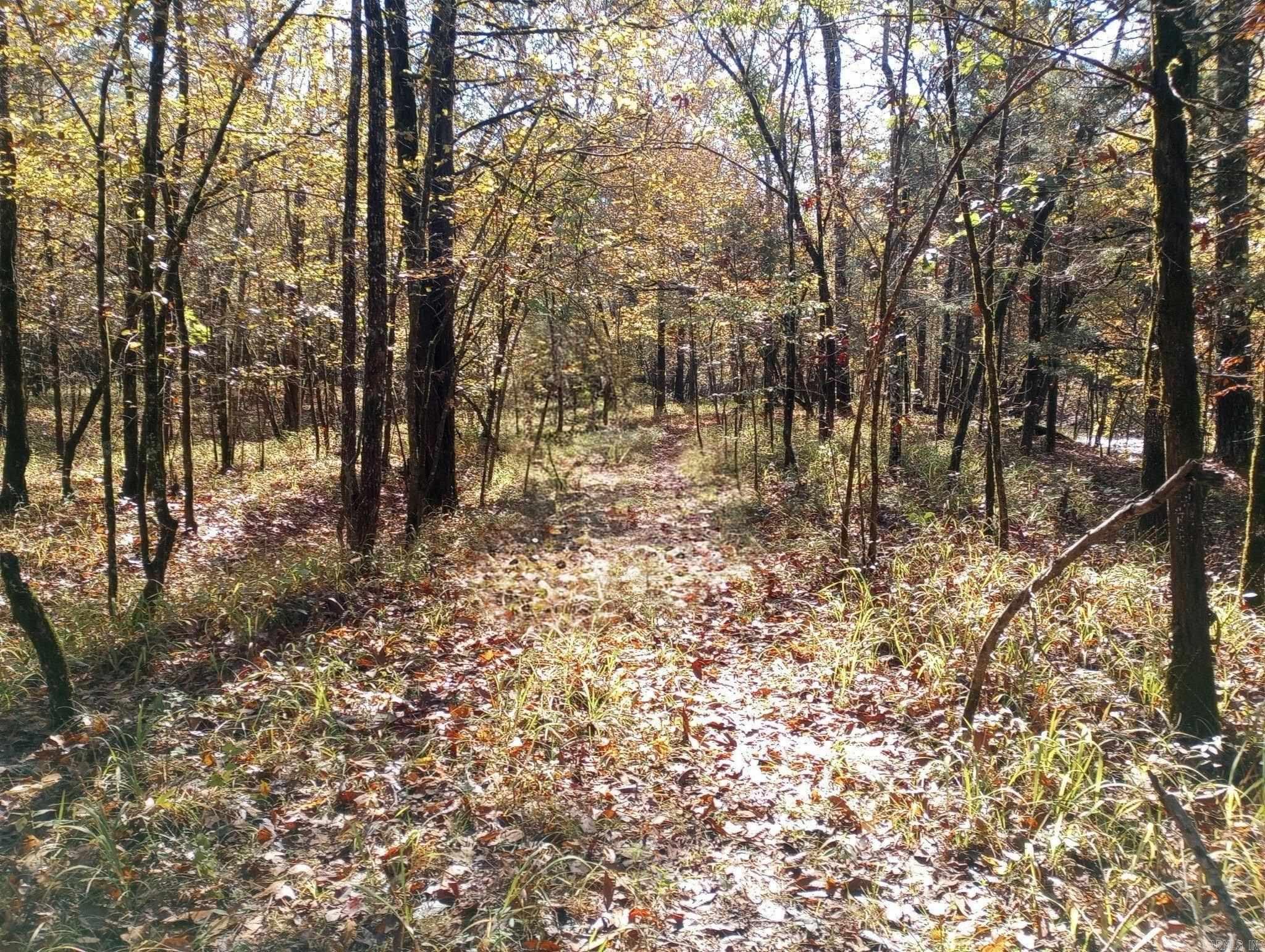 Tbd Pleasant Point Property Photo 39