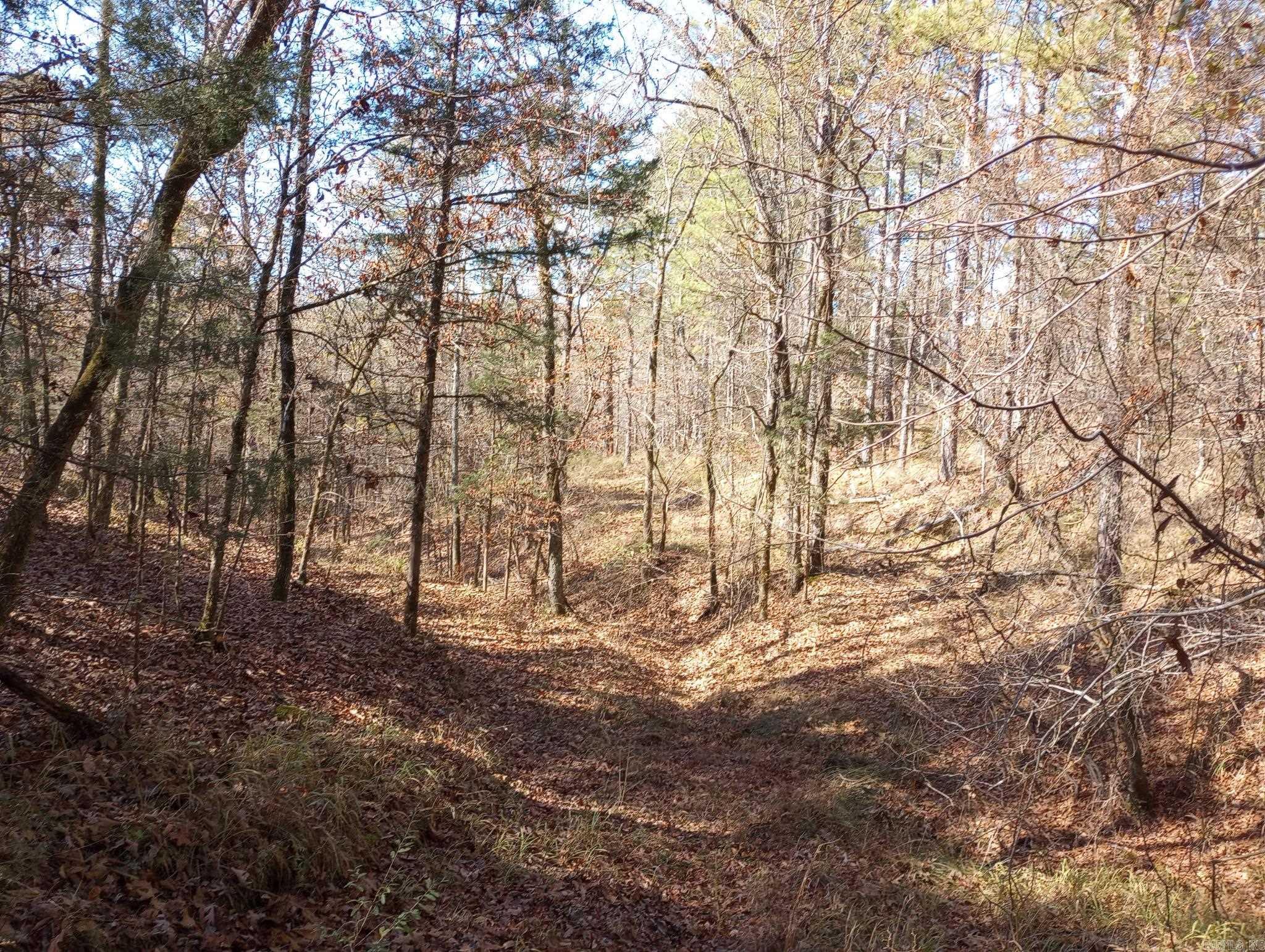 Tbd Pleasant Point Property Photo 40