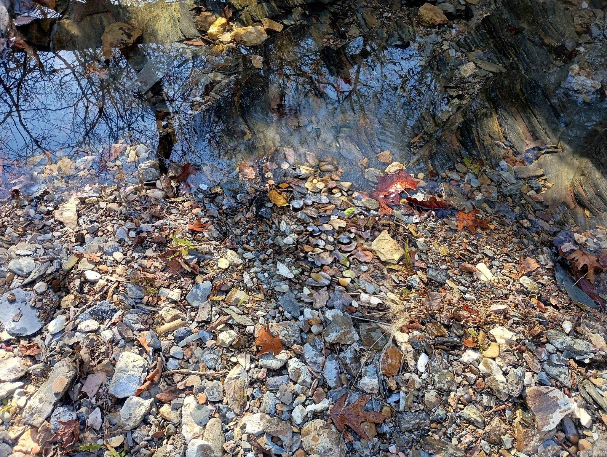Tbd Pleasant Point Property Photo 41